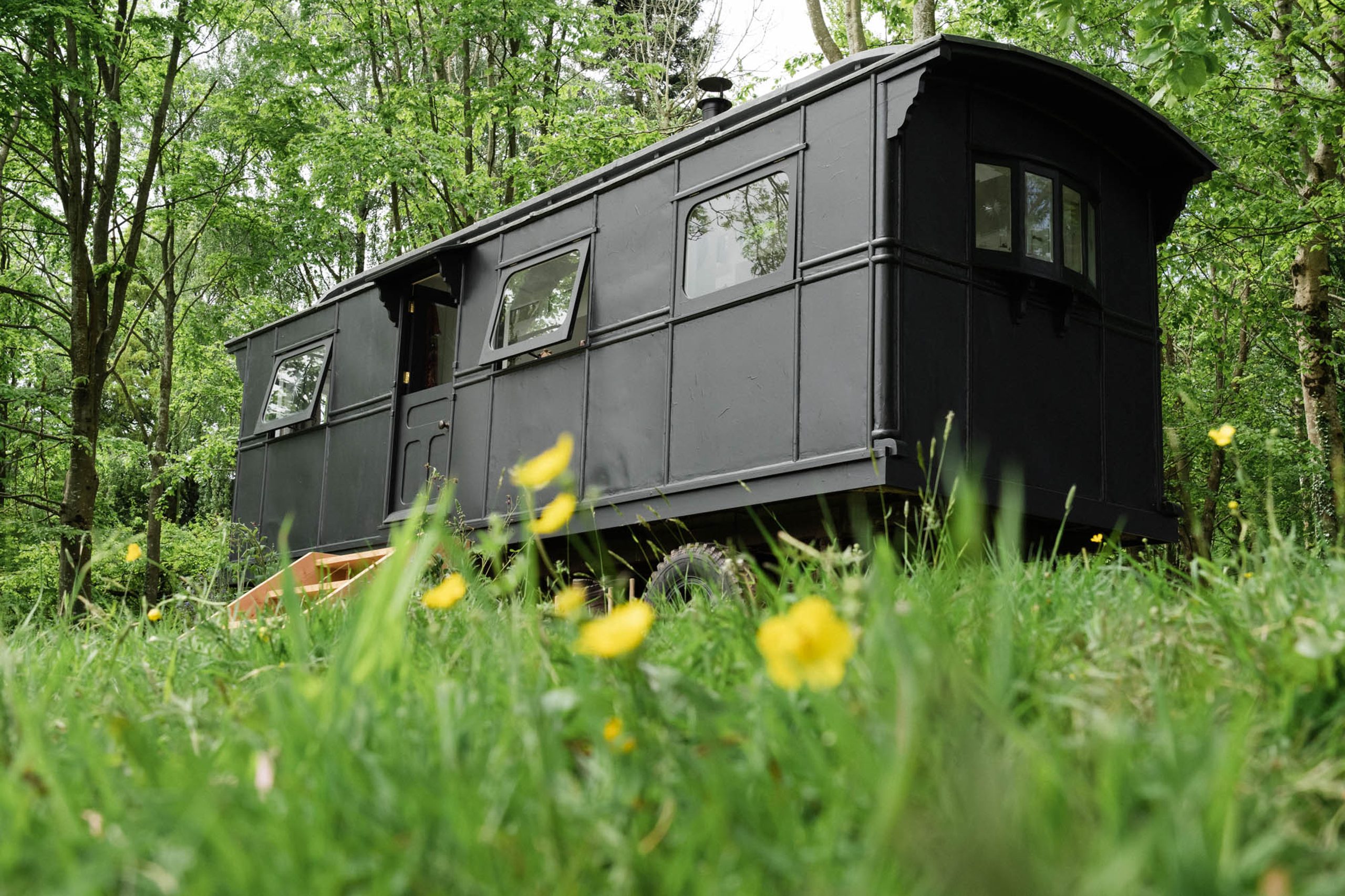 Molly's Wagon - Image 1
