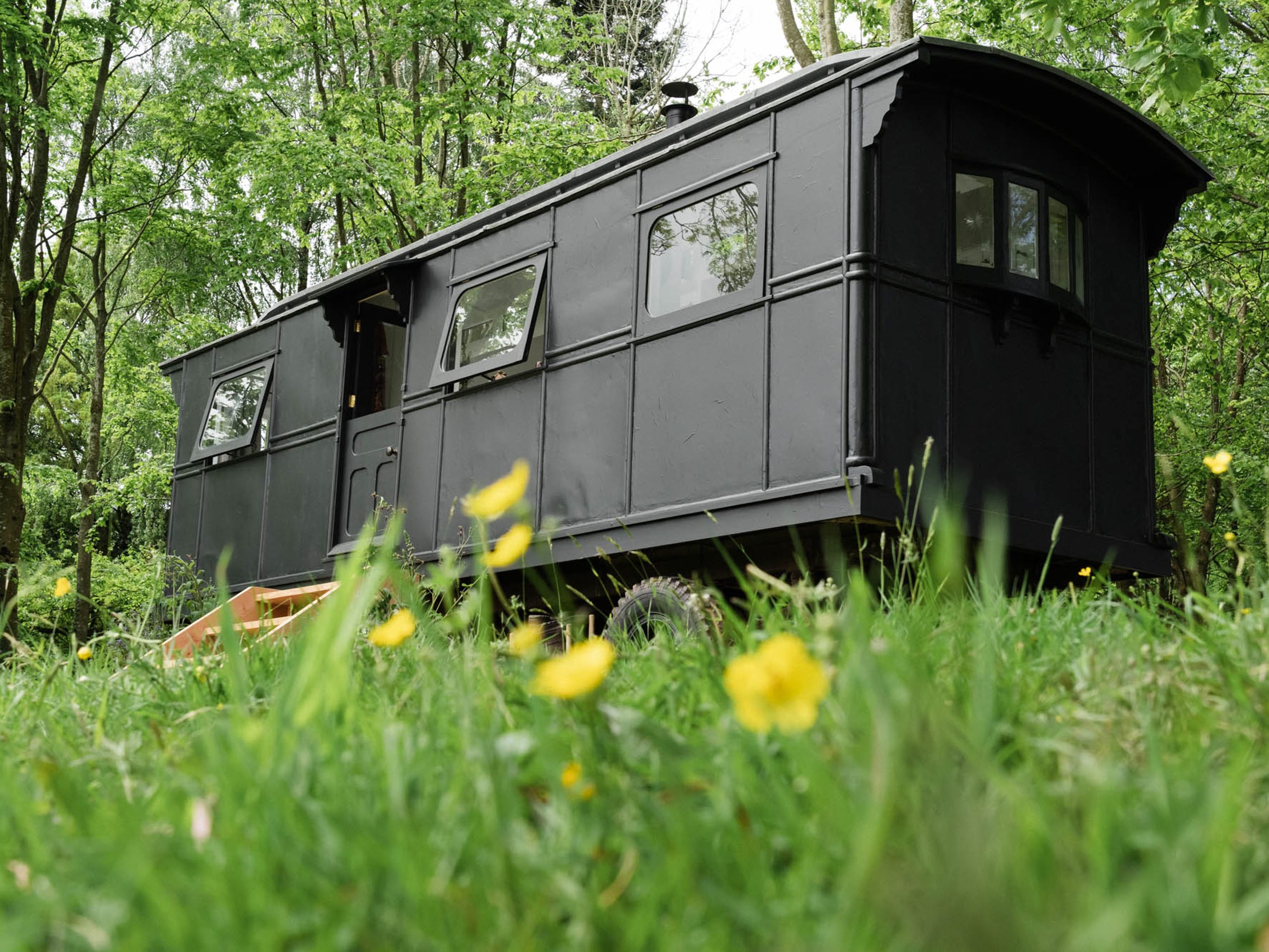 Molly's Wagon