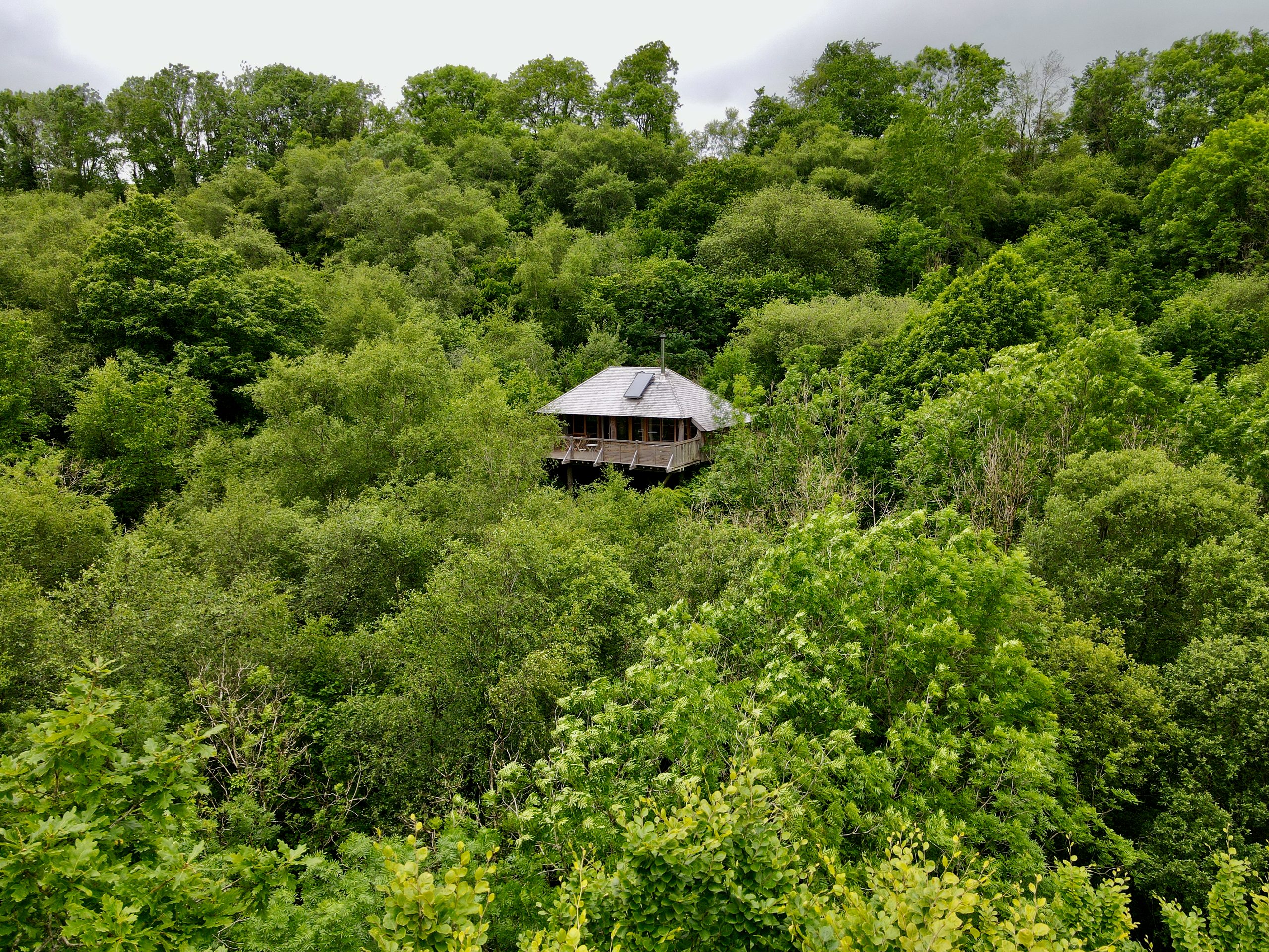 Stargazer Treehouse