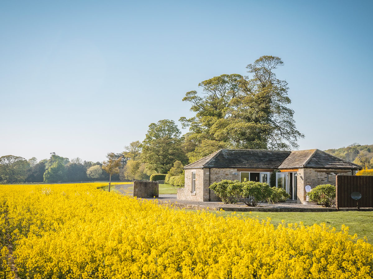 Wayside Cottage