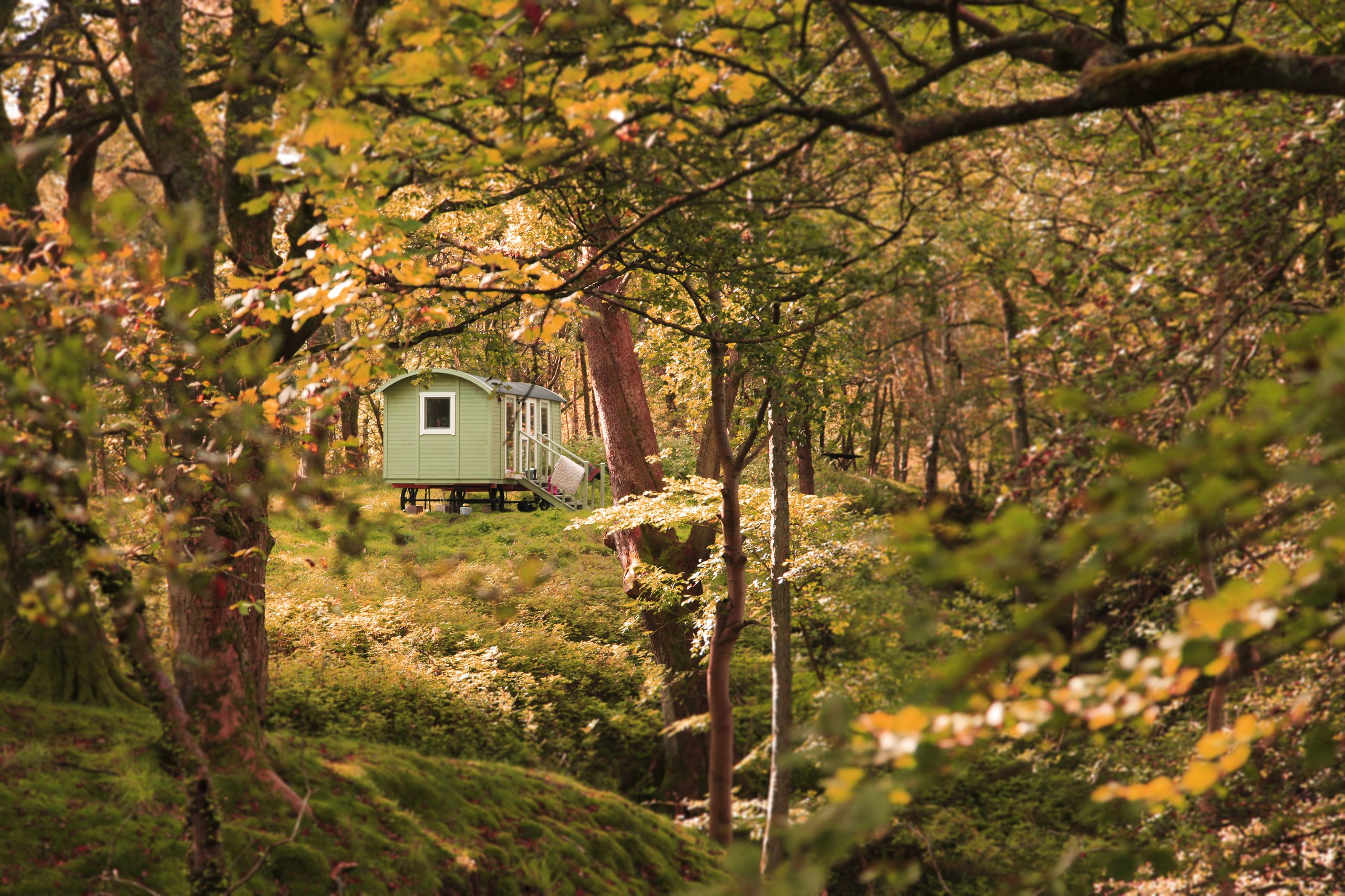 Thorney Mire Shepherds Hut