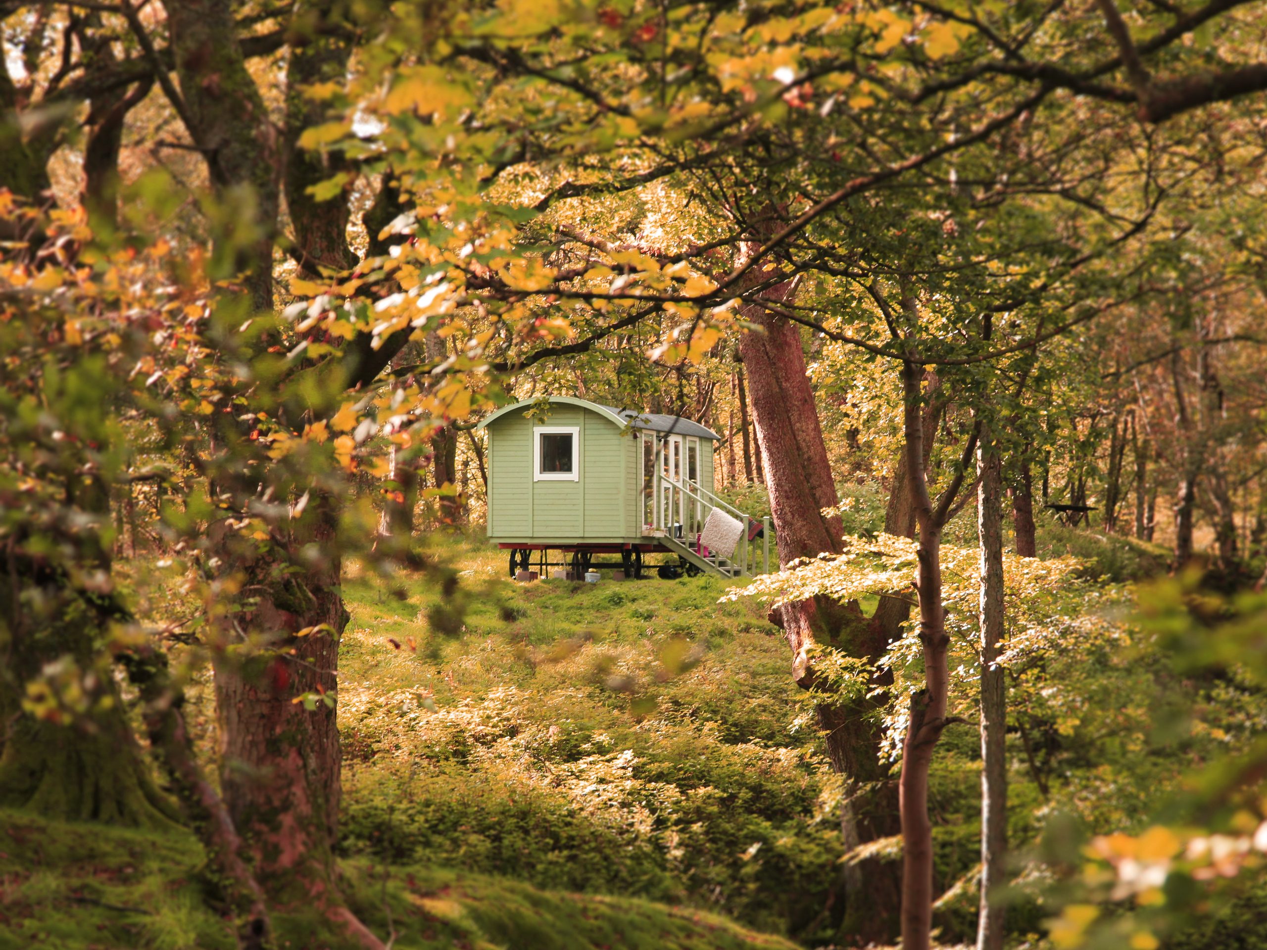 Thorney Mire Shepherds Hut