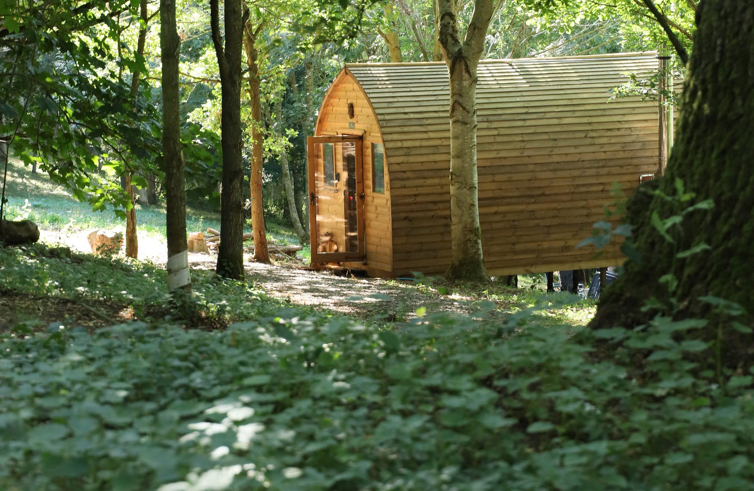 Coplow Woodland Retreat - Image 1