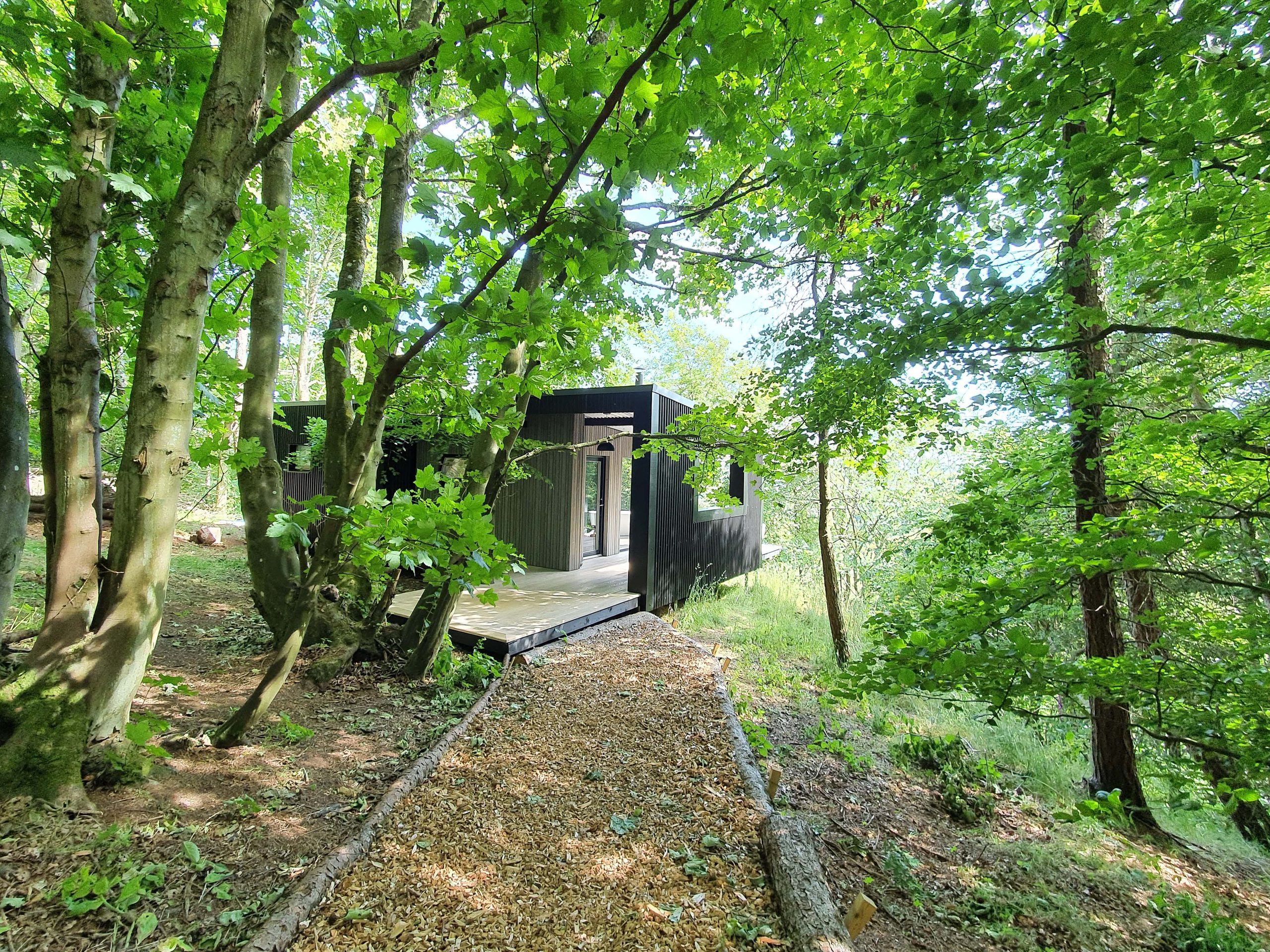 Bracken Treehouse