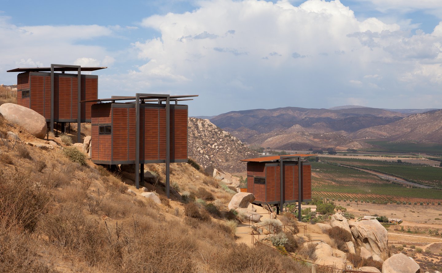 Encuentro Guadalupe