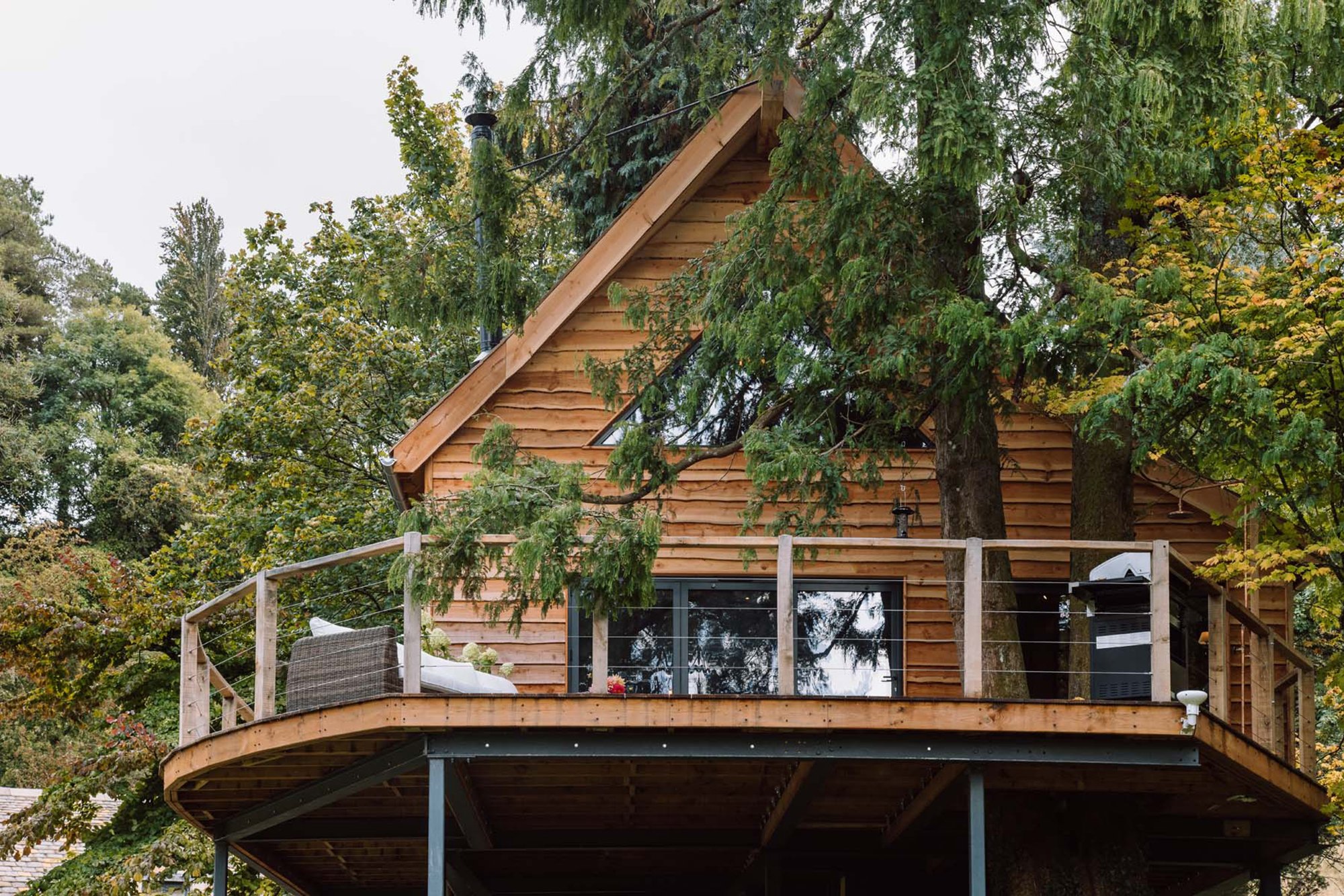 The Tree House