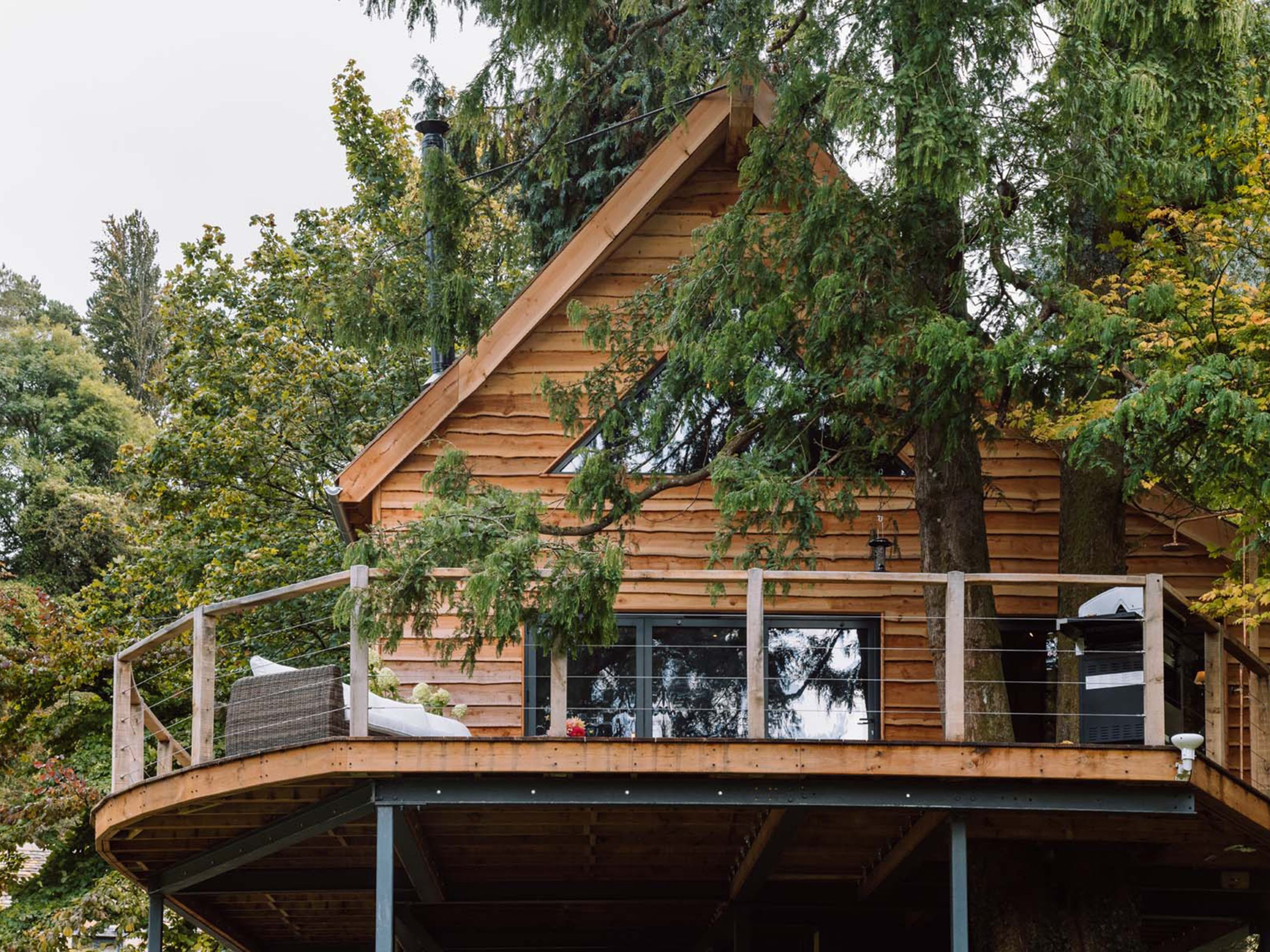 The Tree House