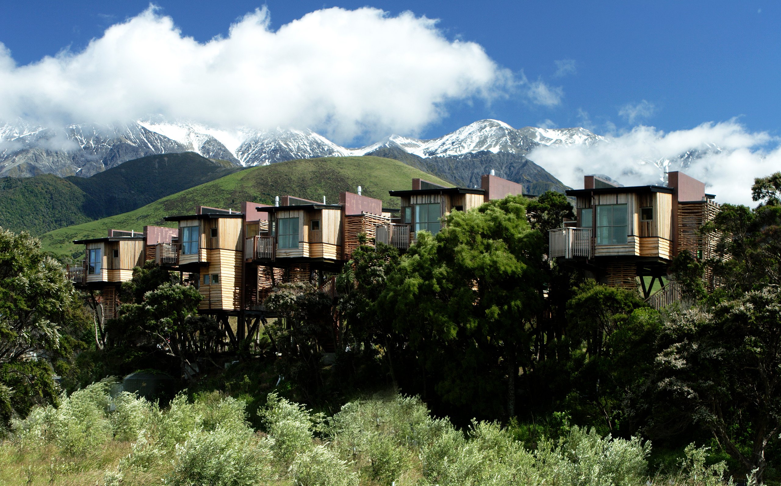 Hapuku Lodge & Tree Houses