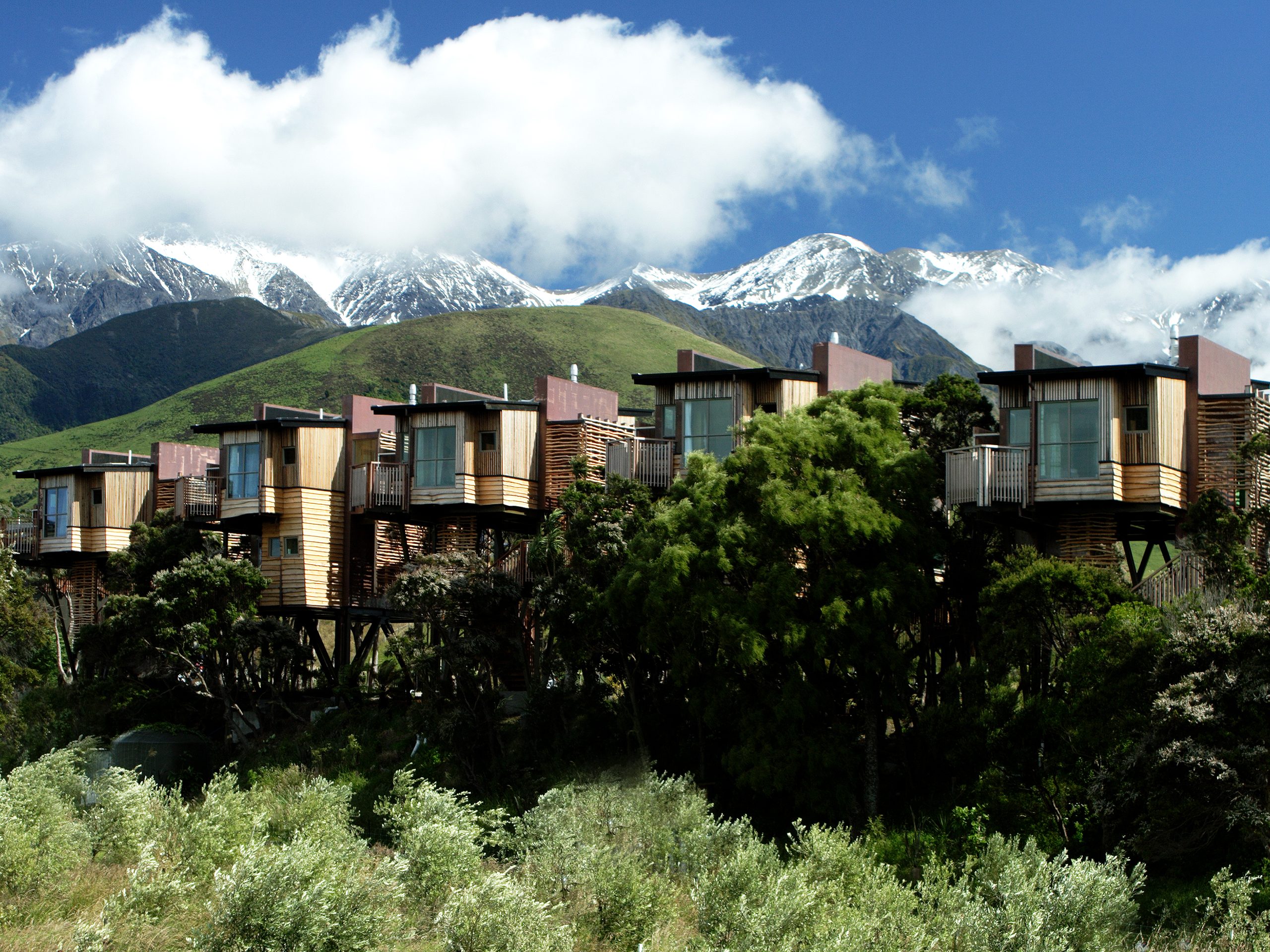 Hapuku Lodge & Tree Houses