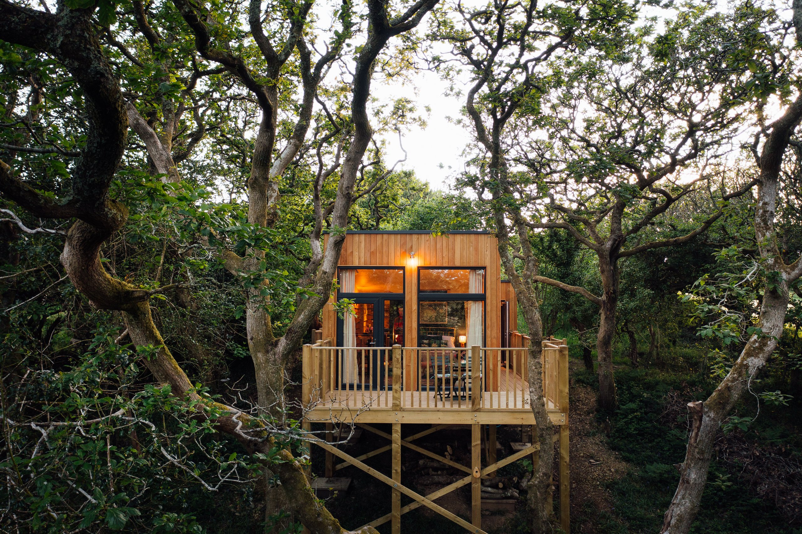 Treehouses at Wrinklers Wood - Image 1
