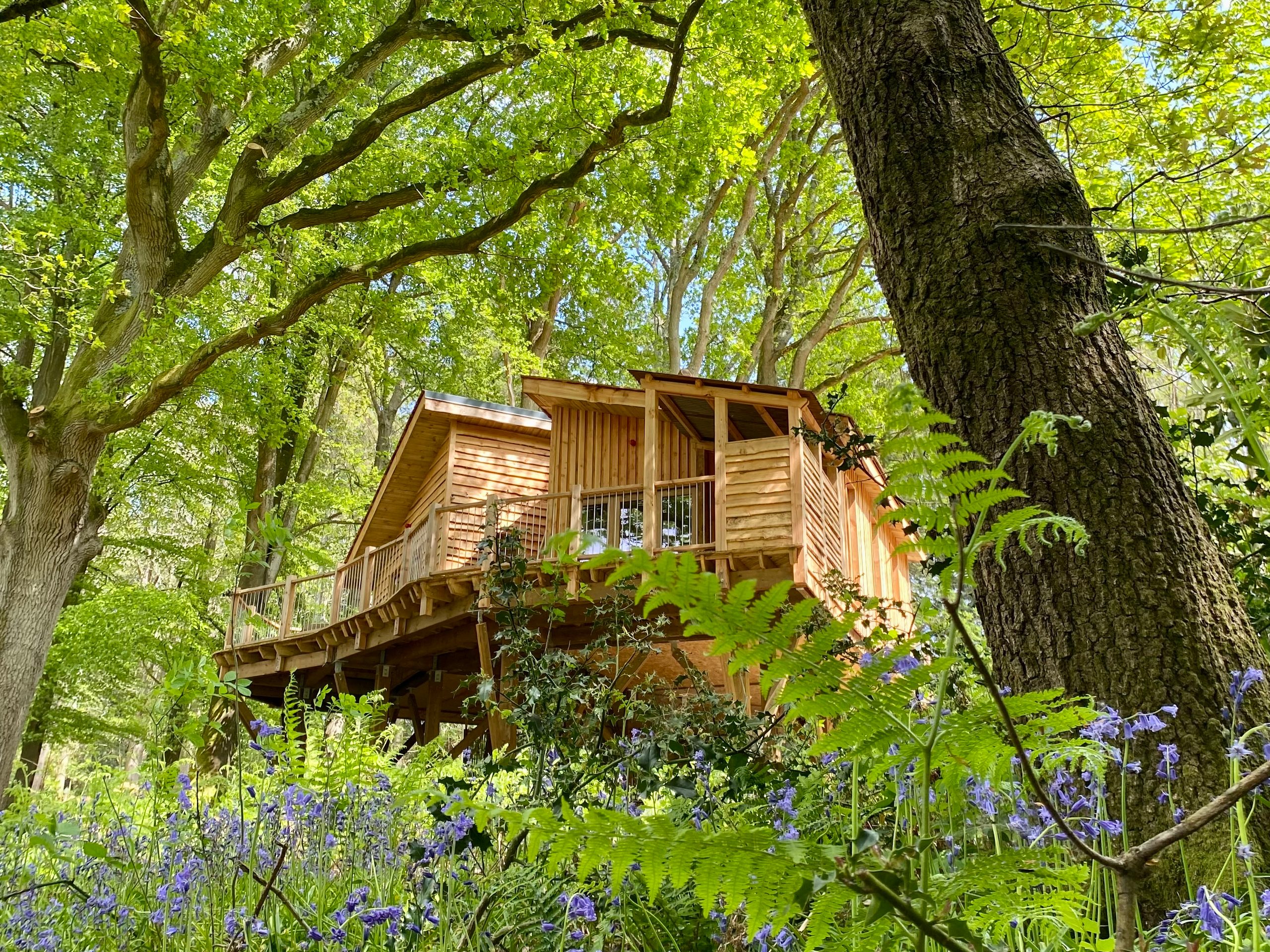 Tree House Retreats