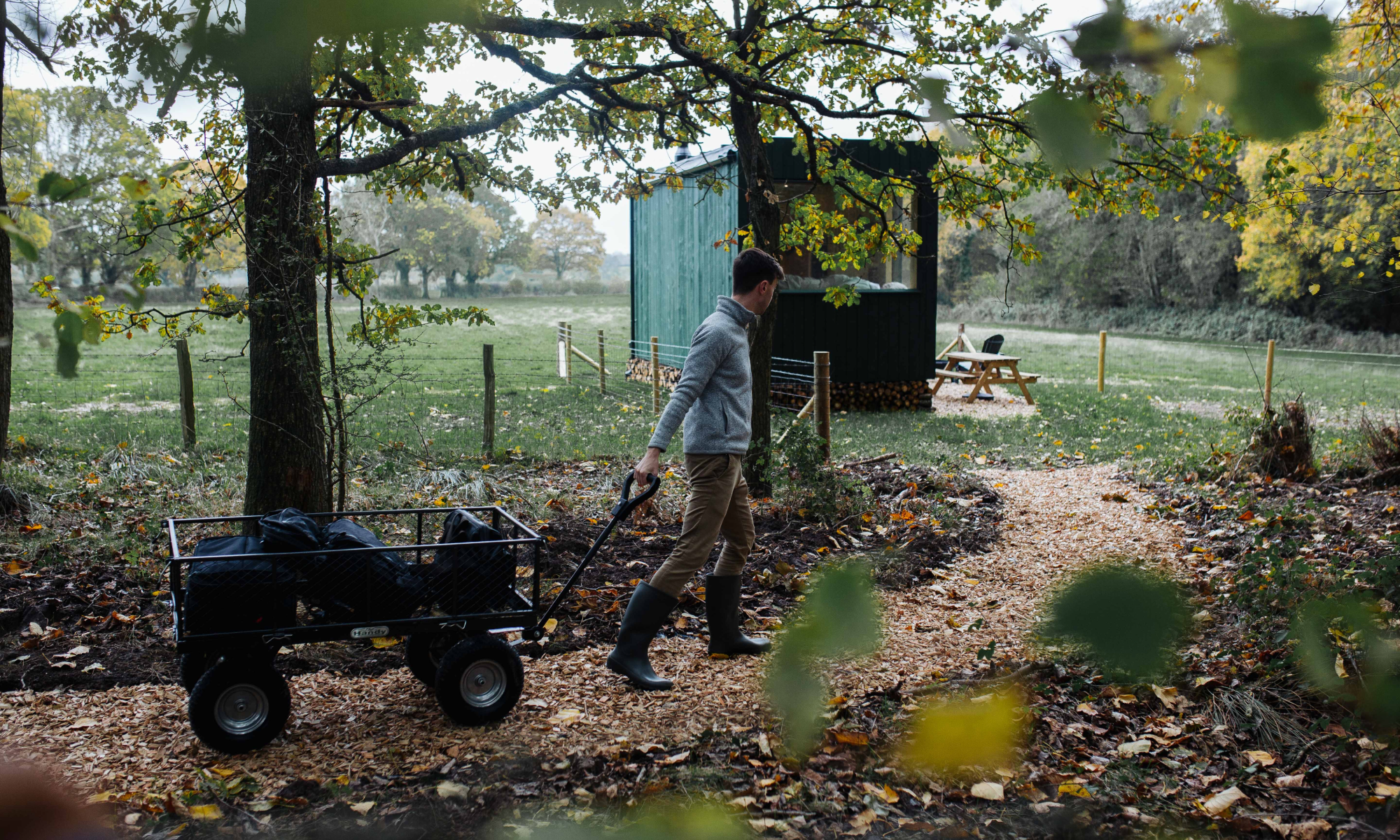 Unplugged Rest - New Forest