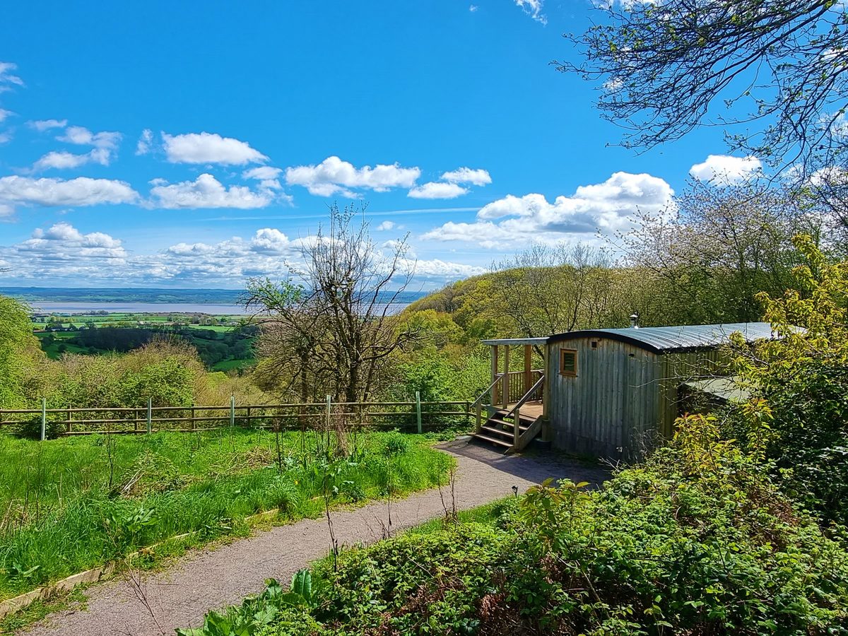 Resilient Woodlands Retreat