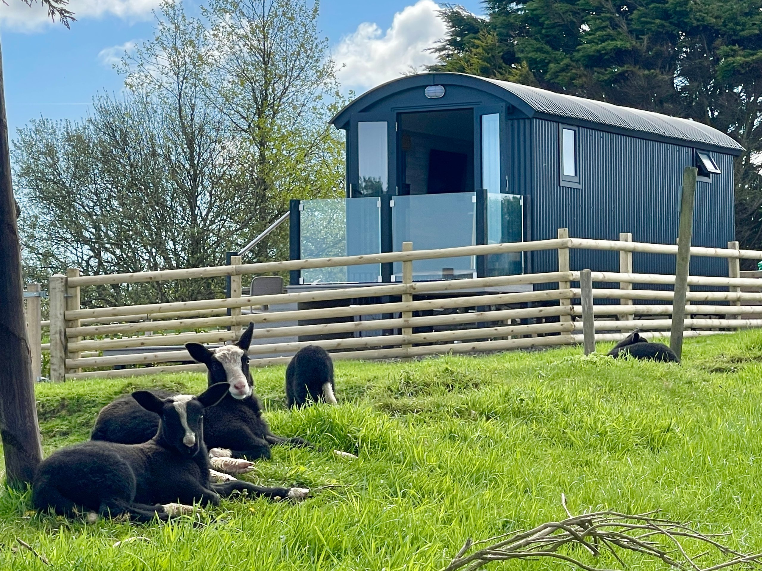 Cambeak Shepherds Hut