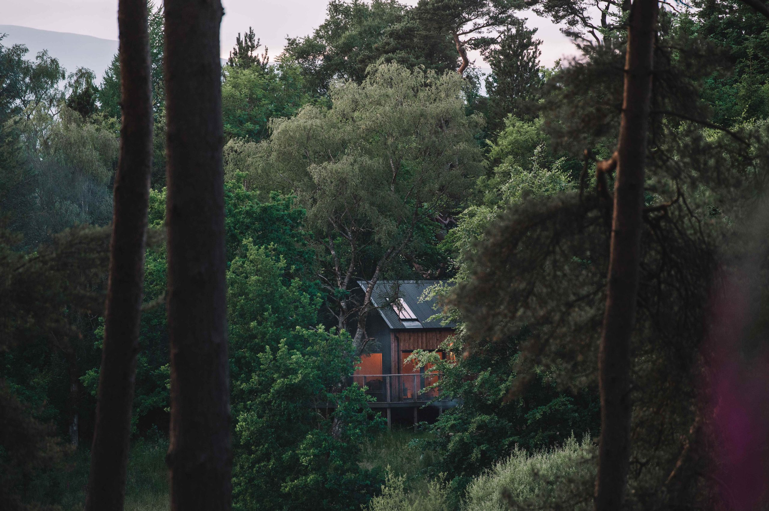 Schenbothies - Image 1