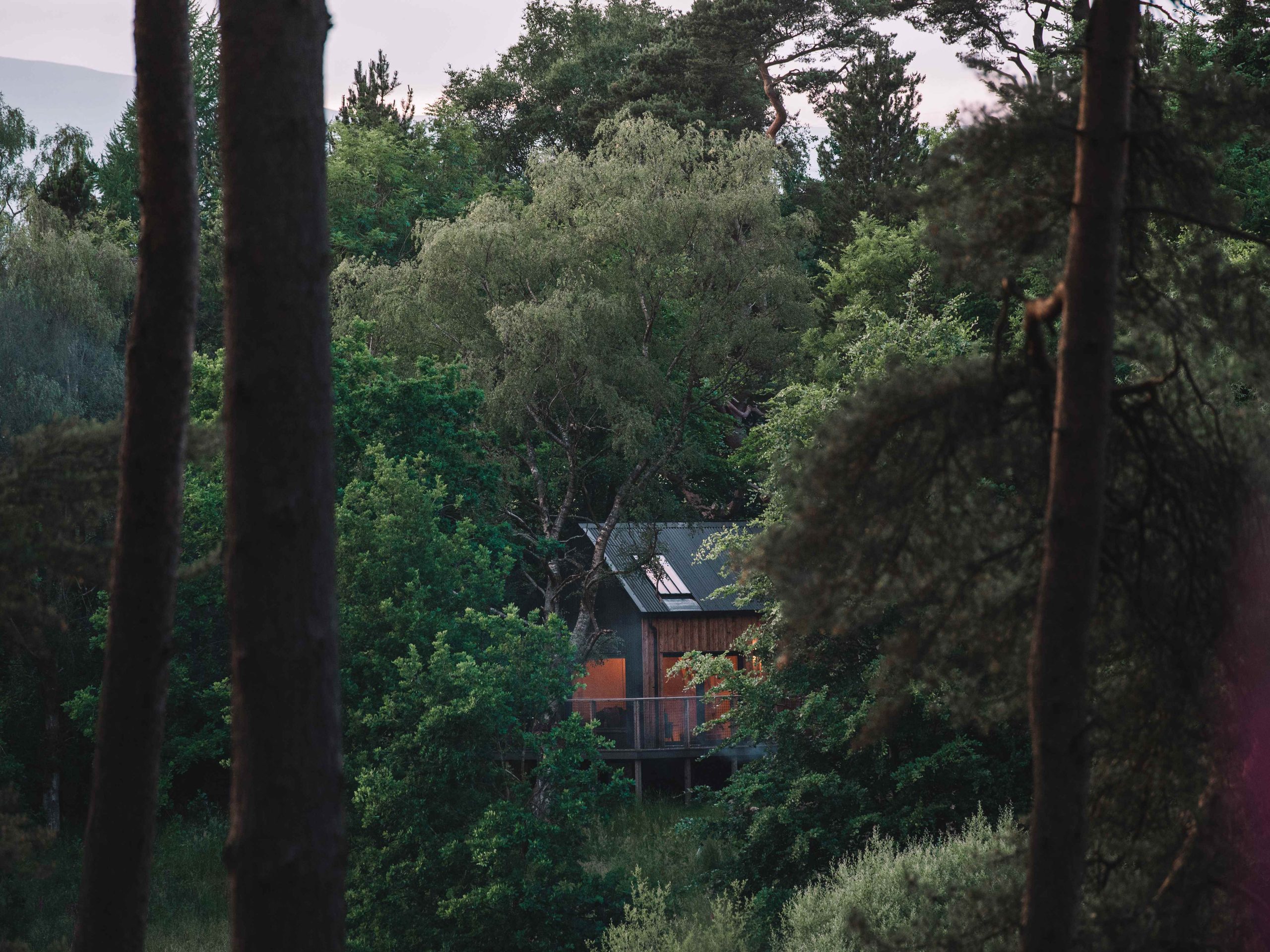 Schenbothies