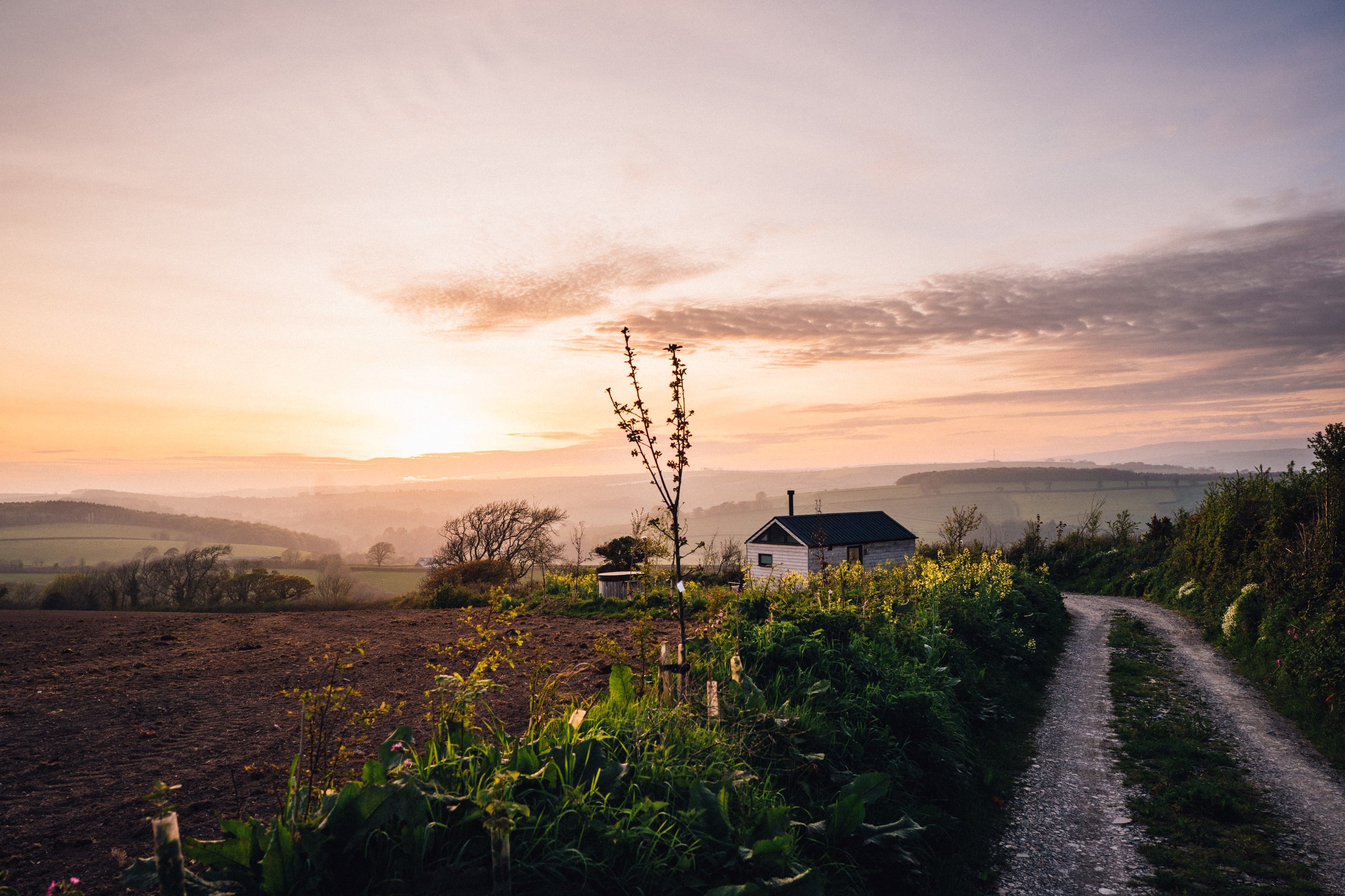 Cottlass - Image 1