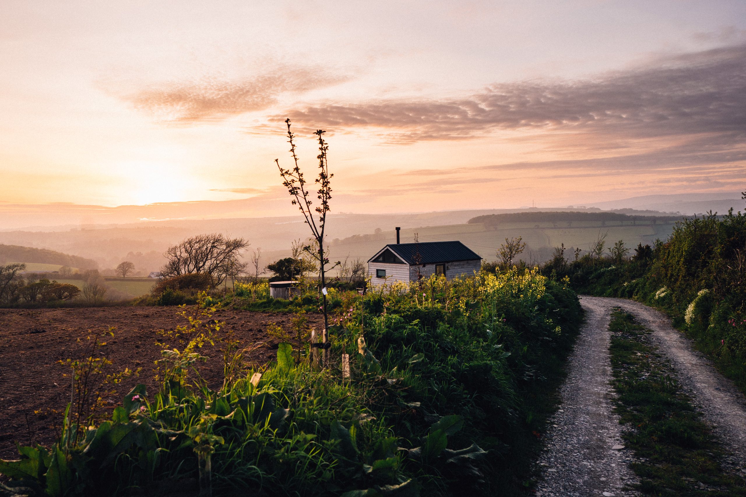 Cottlass - Image 1