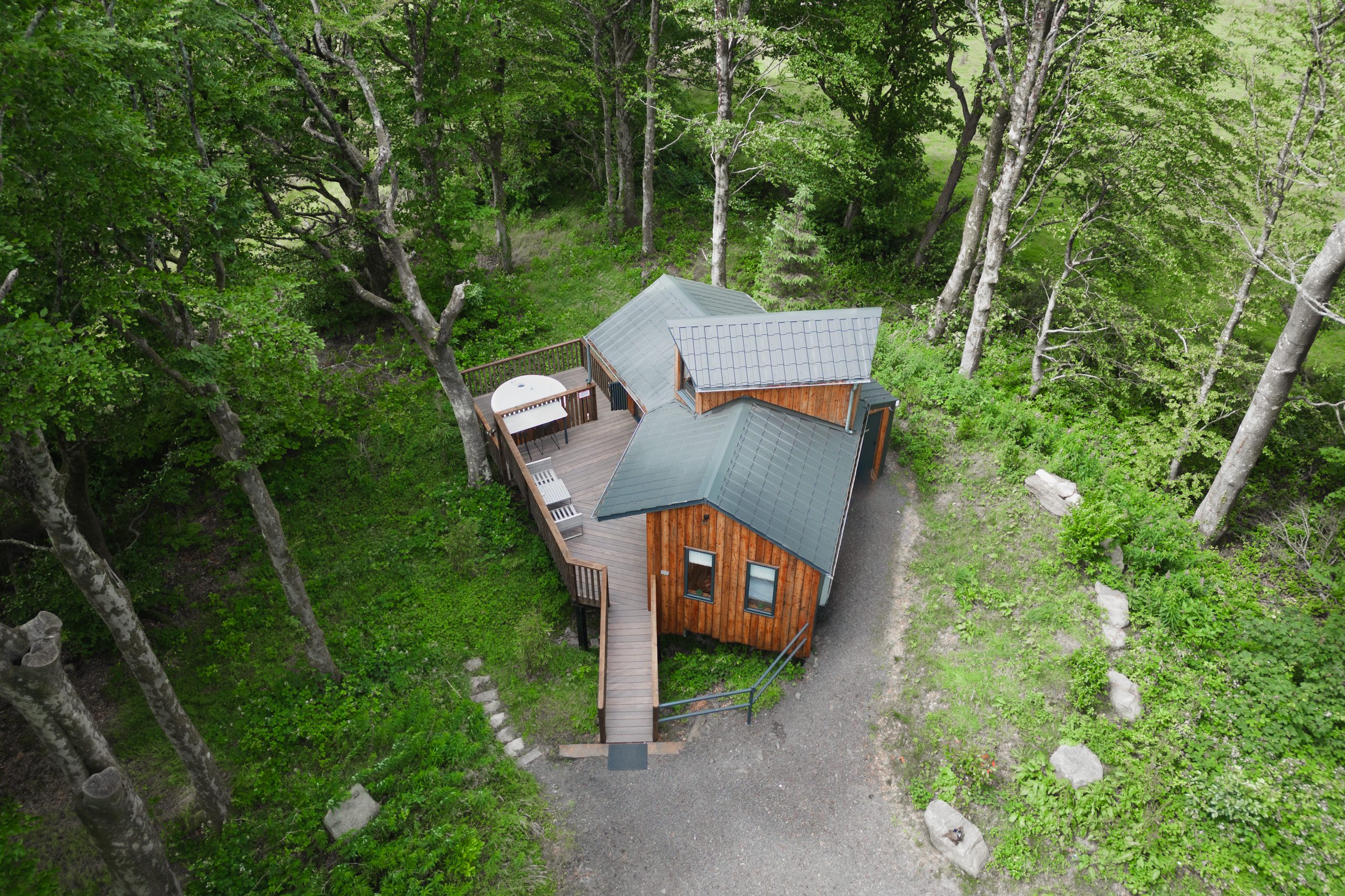 Cuckoo's Hideaway - Image 1