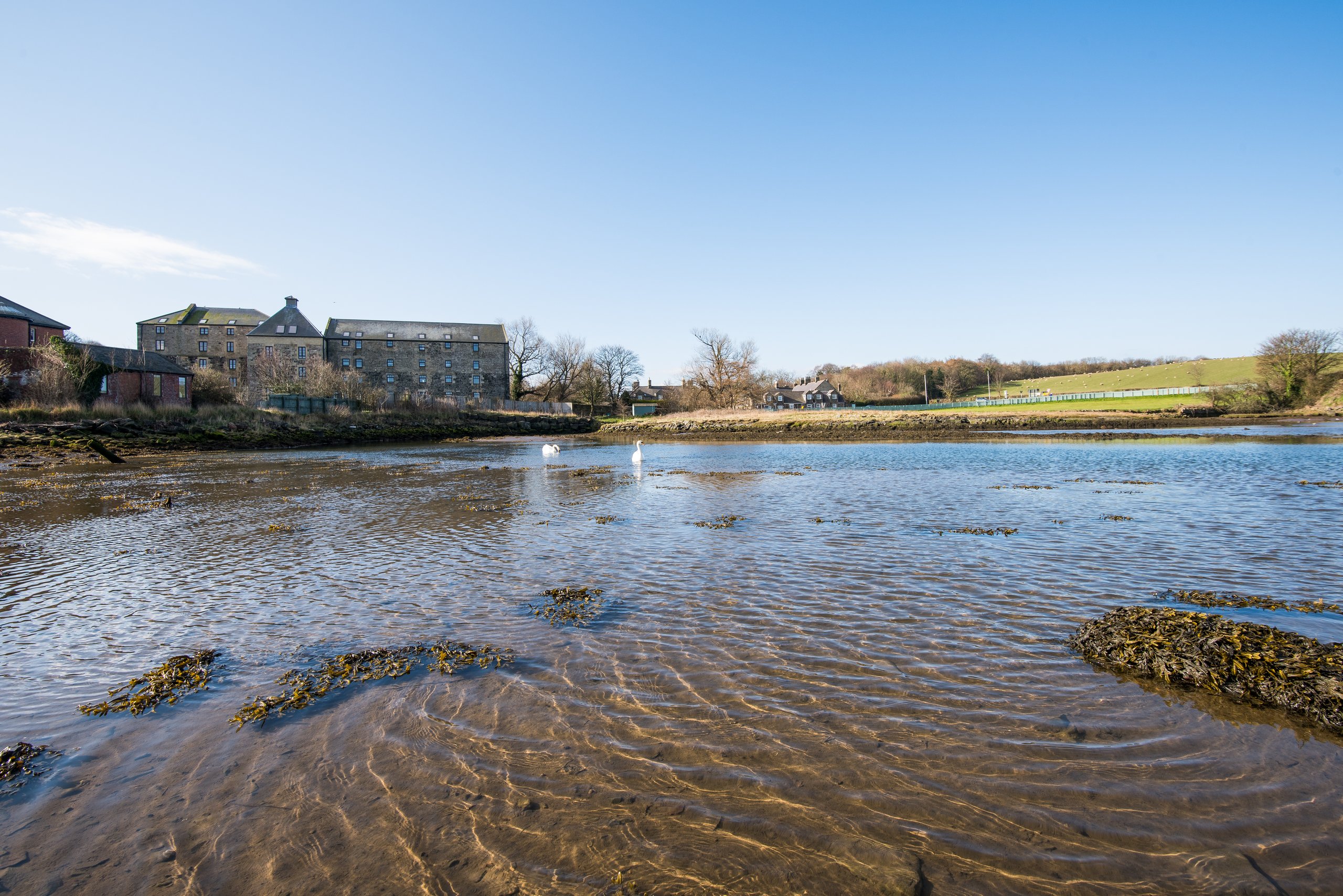 Budle Bay Loft