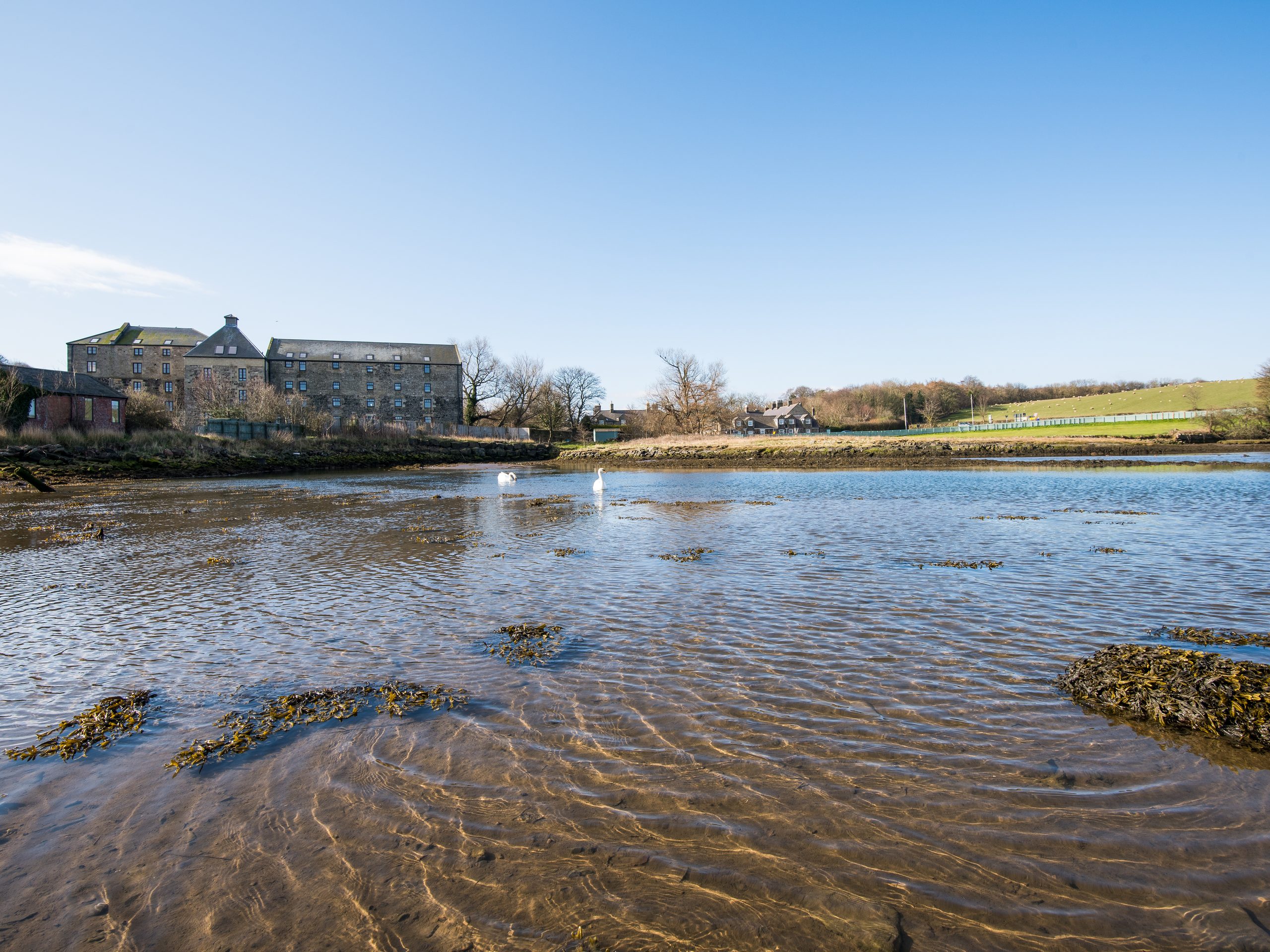 Budle Bay Loft