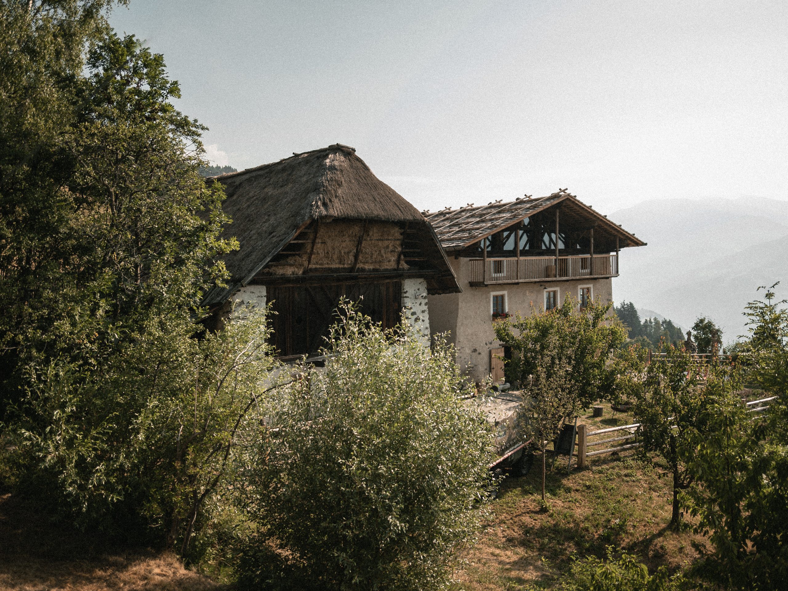 Felder Alpin