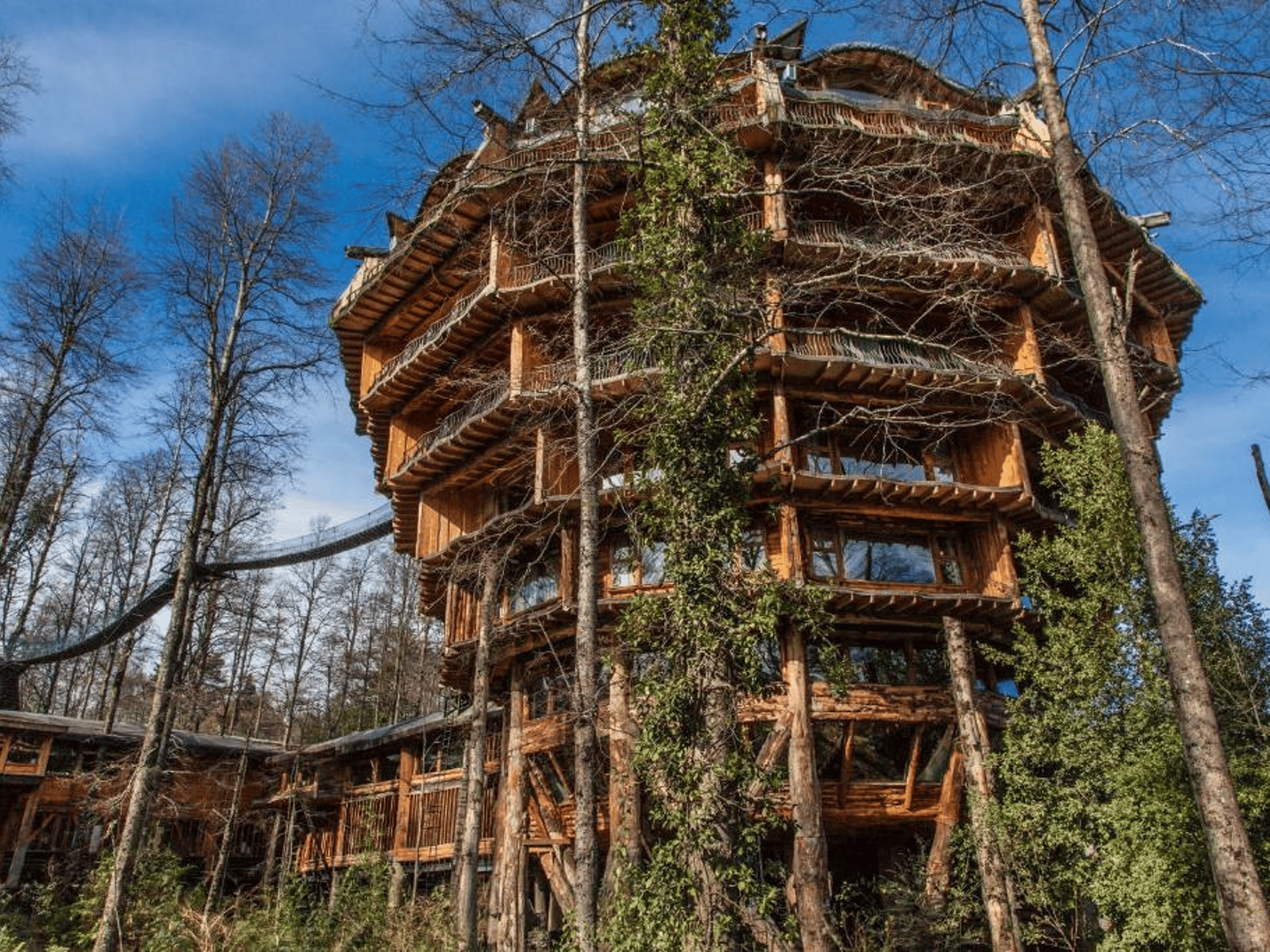 Nothofagus Hotel & Spa
