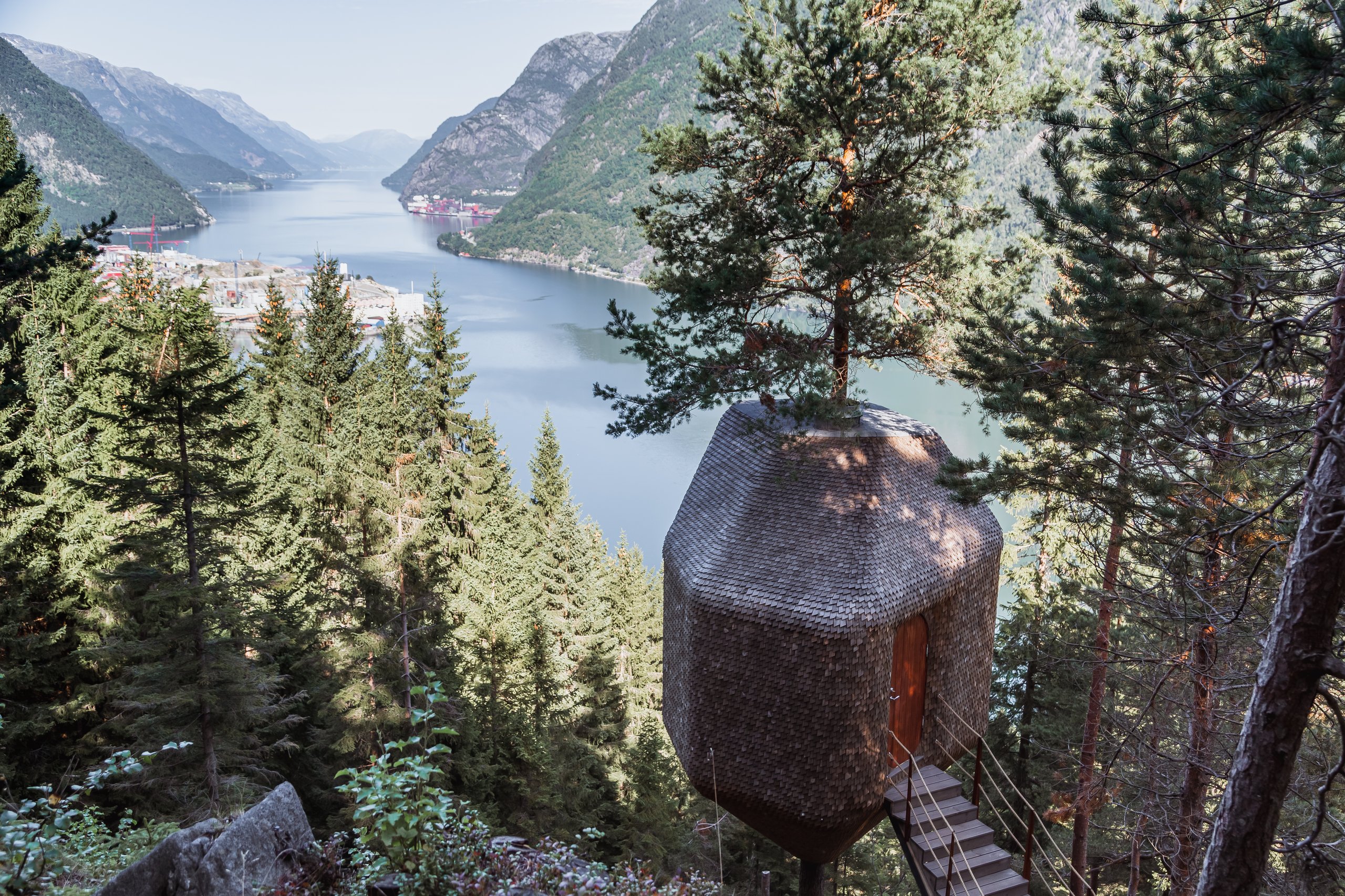Woodnest