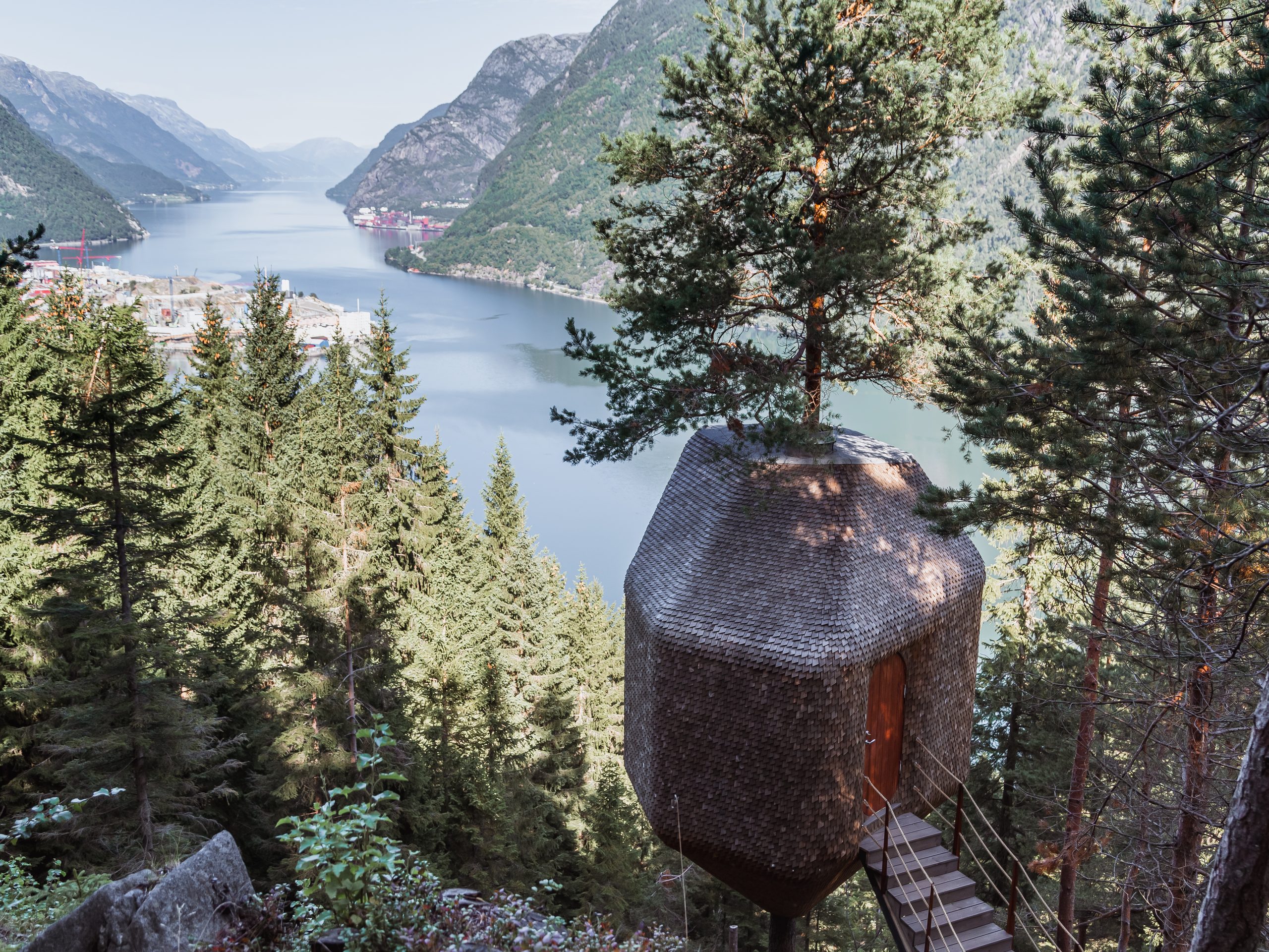 Woodnest