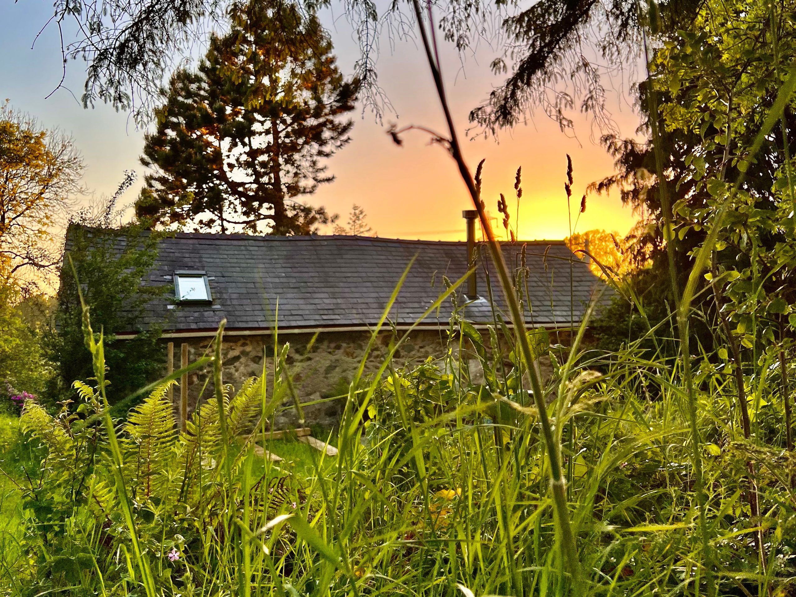 The Bothy