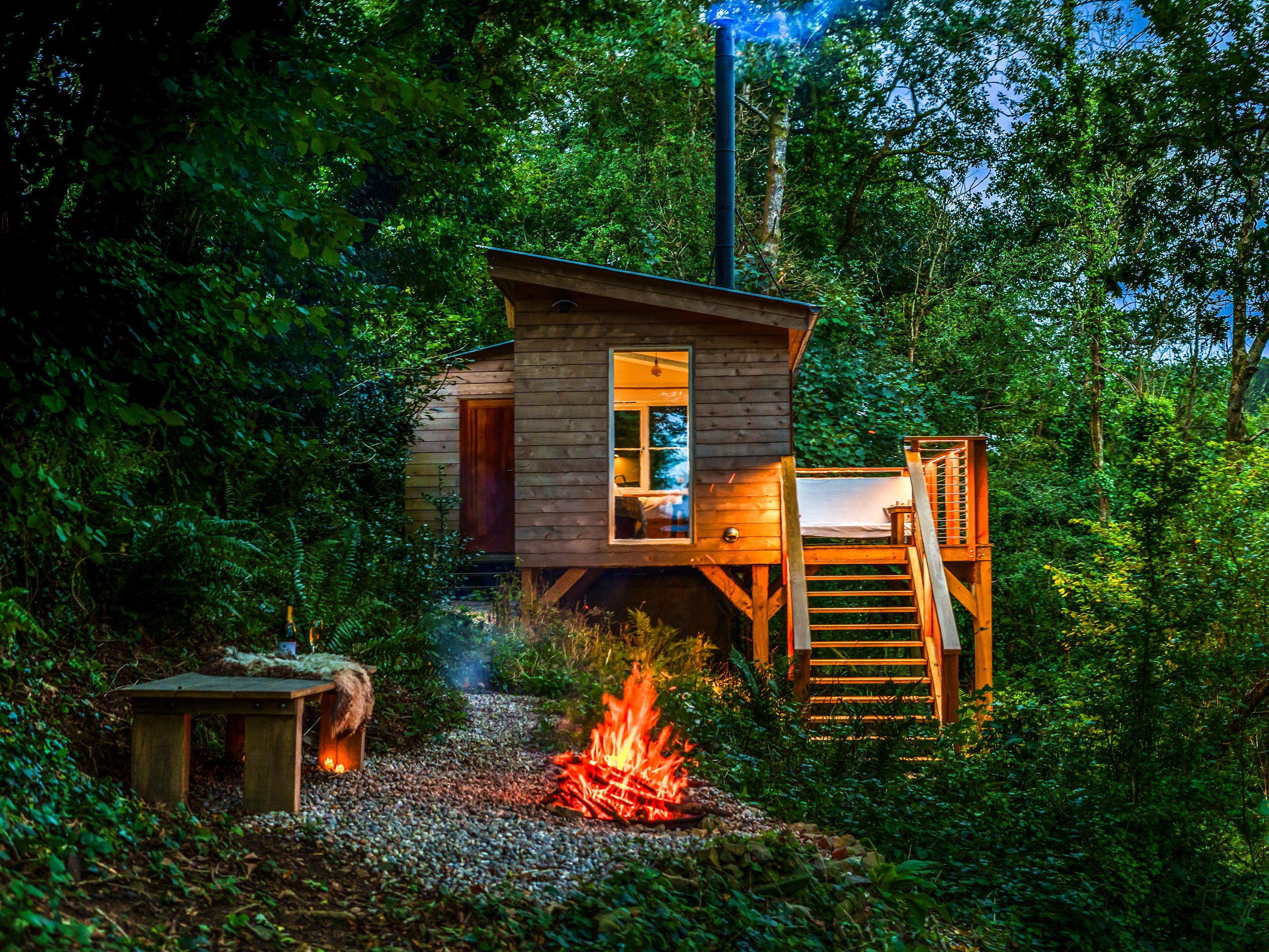 Tigers Treehouse