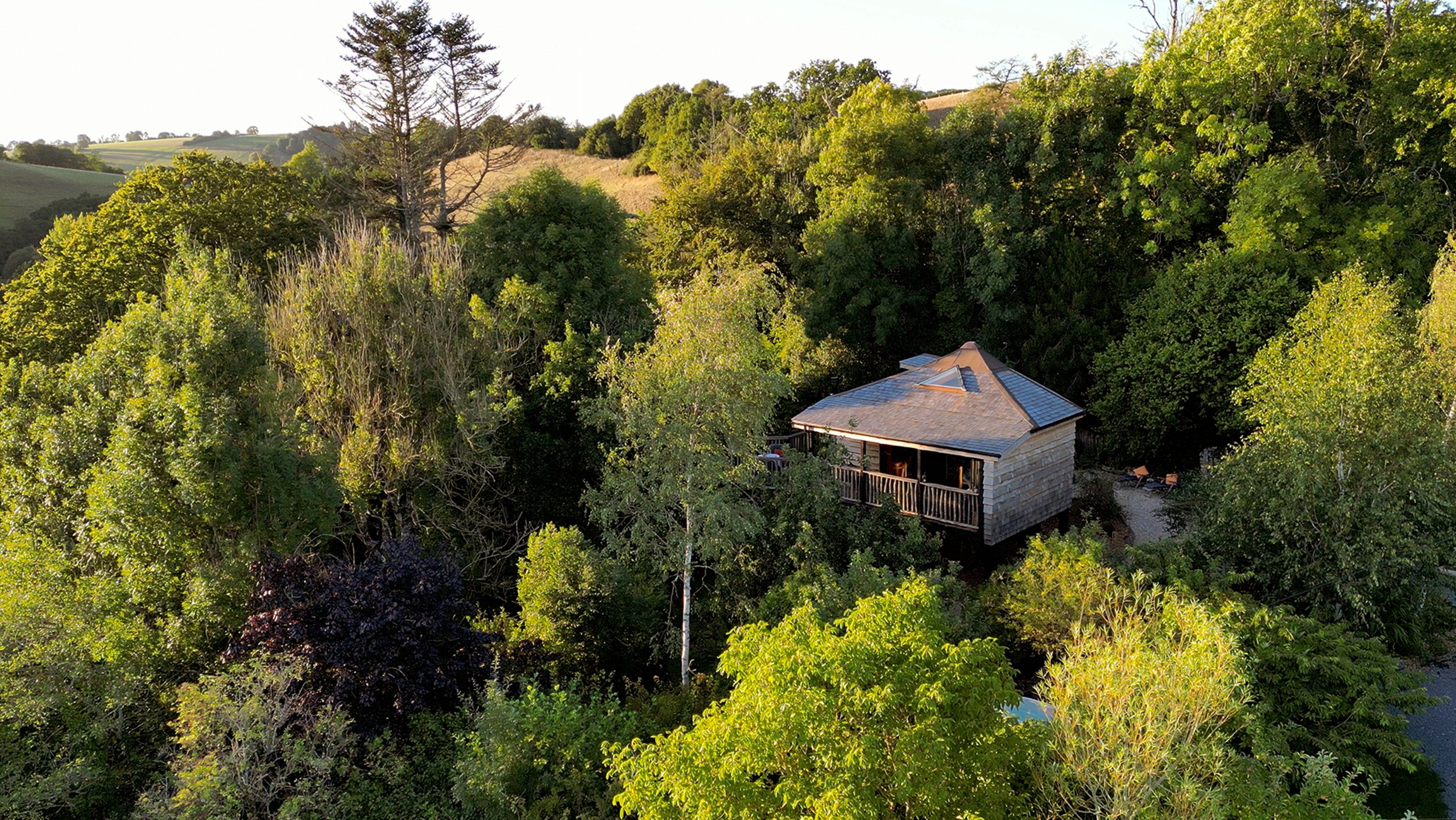 Yggdrasil Treehouse - Image 1