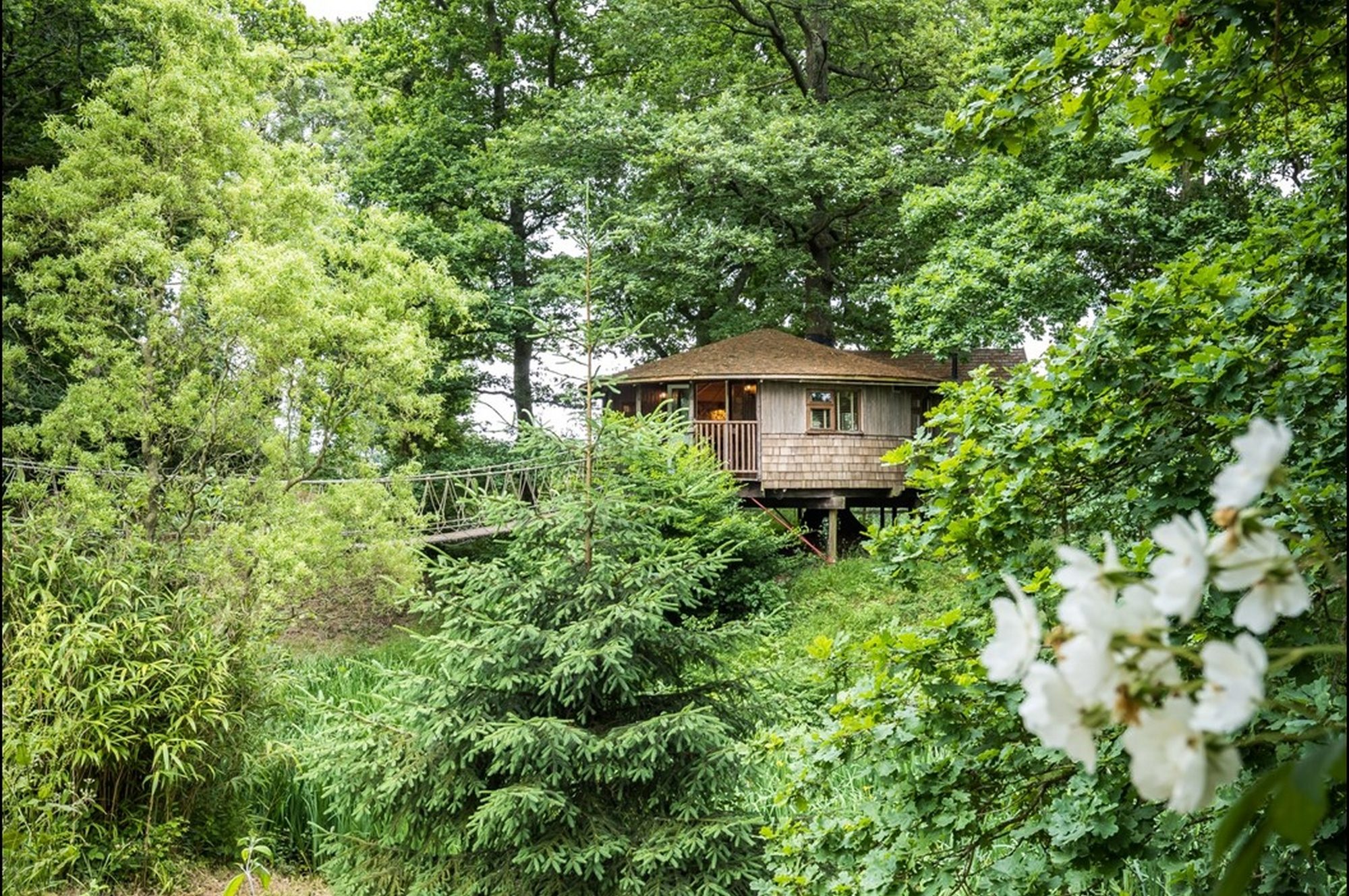 Bensfield Treehouse - Image 1