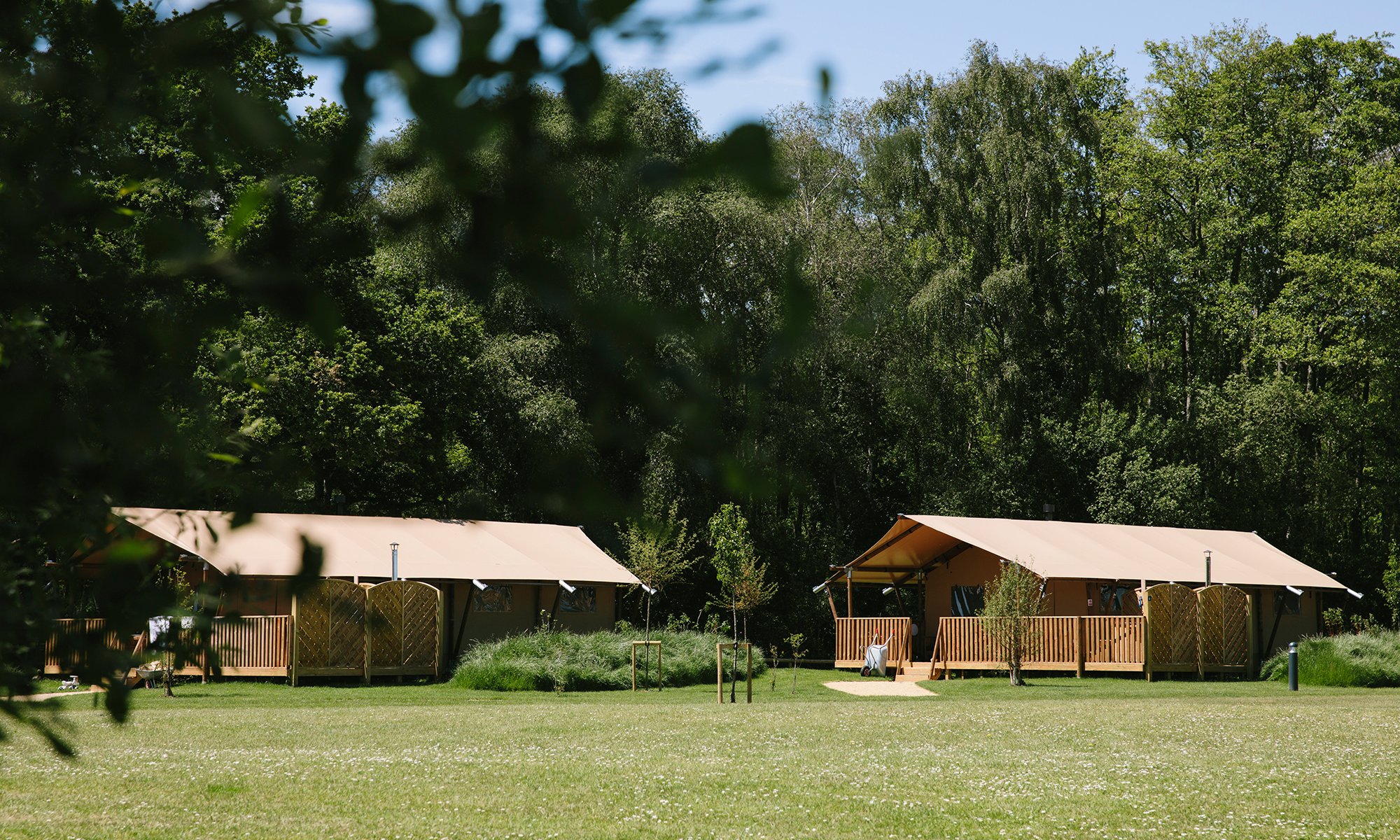 Safari Tents at Green Hill Farm