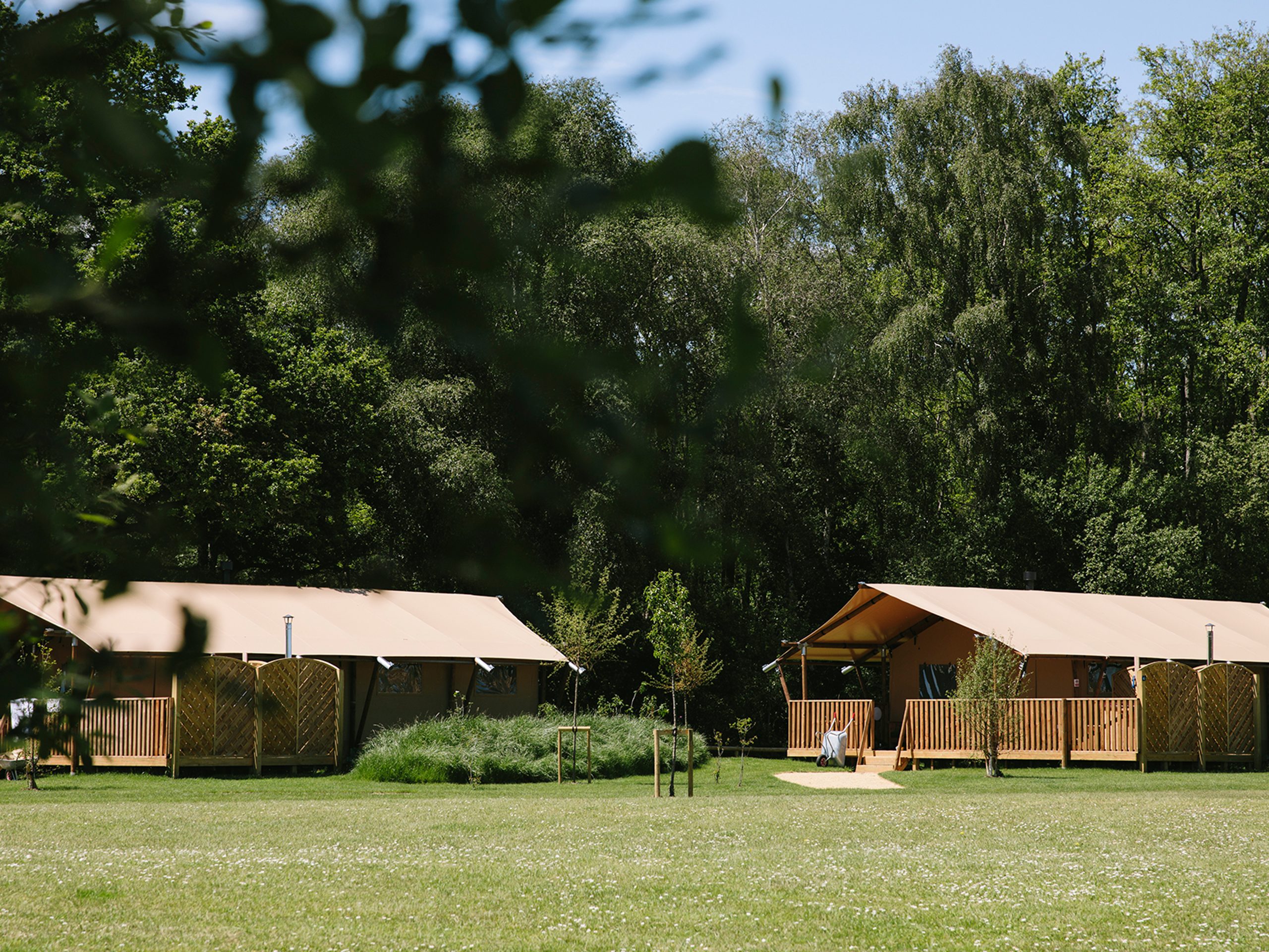 Safari Tents at Green Hill Farm