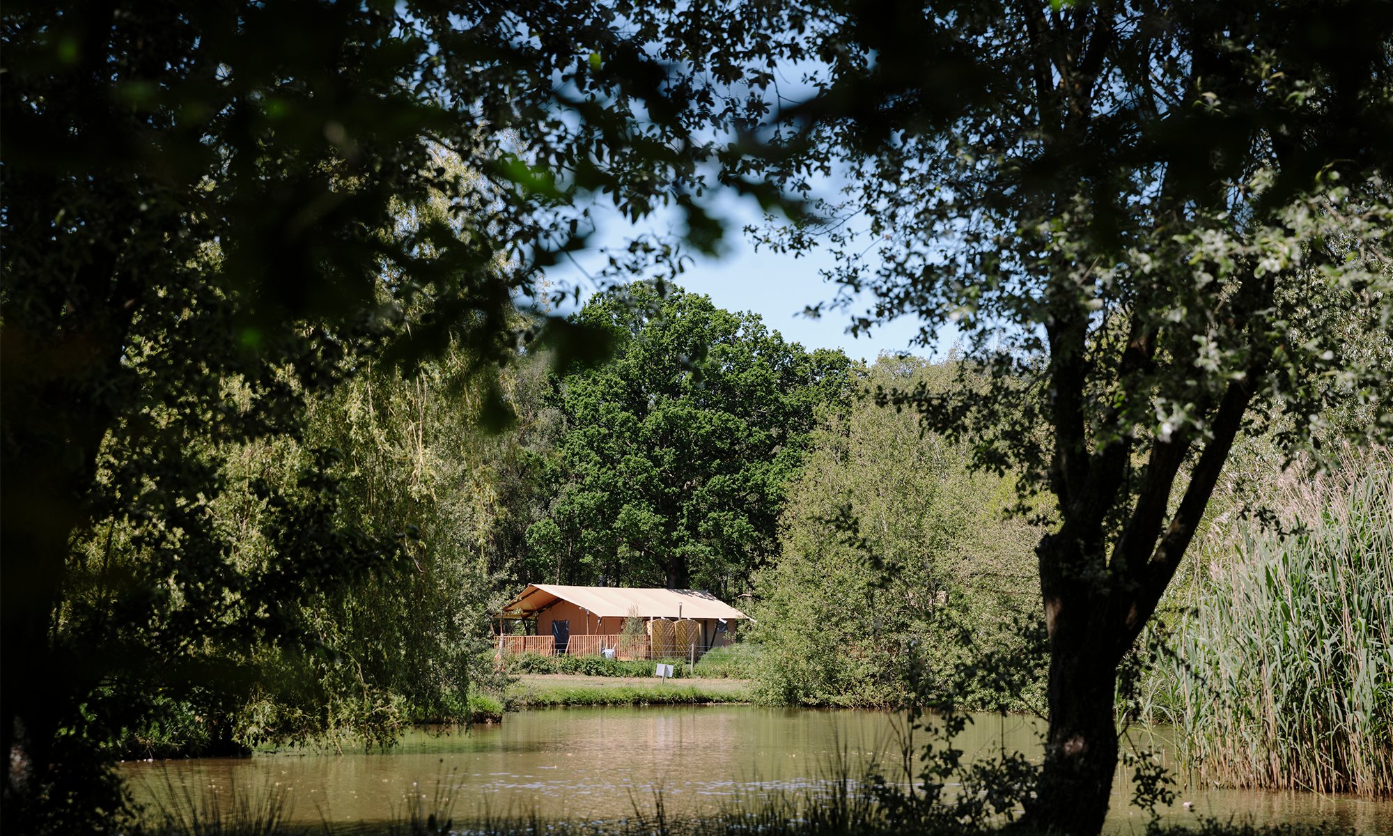 Dog-Friendly Safari Tents at Green Hill Farm