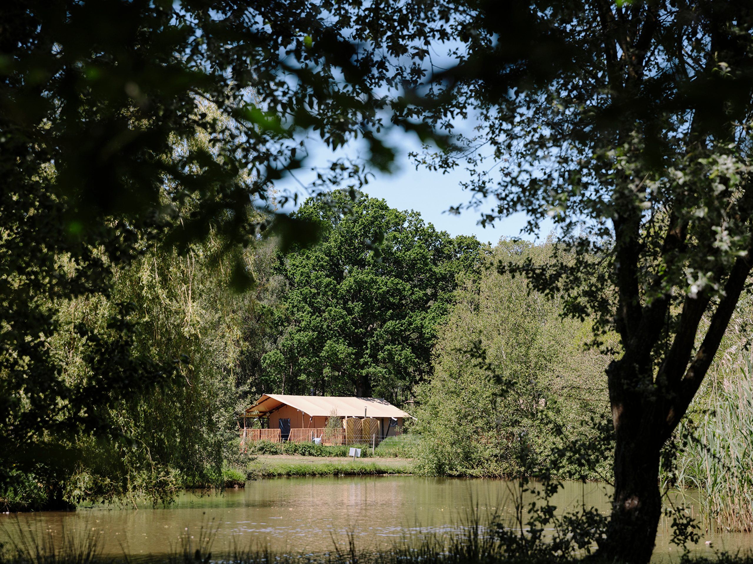 Dog-Friendly Safari Tents at Green Hill Farm
