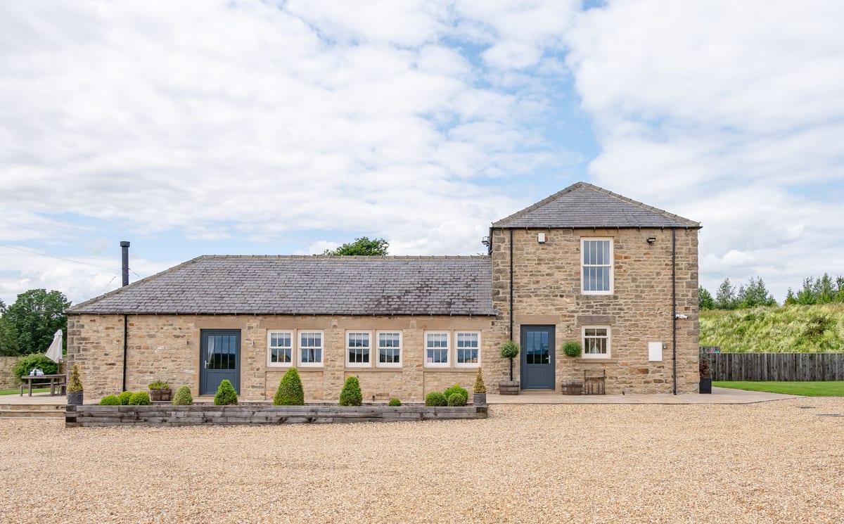 Dexter at Greenbank Barns - Image 1
