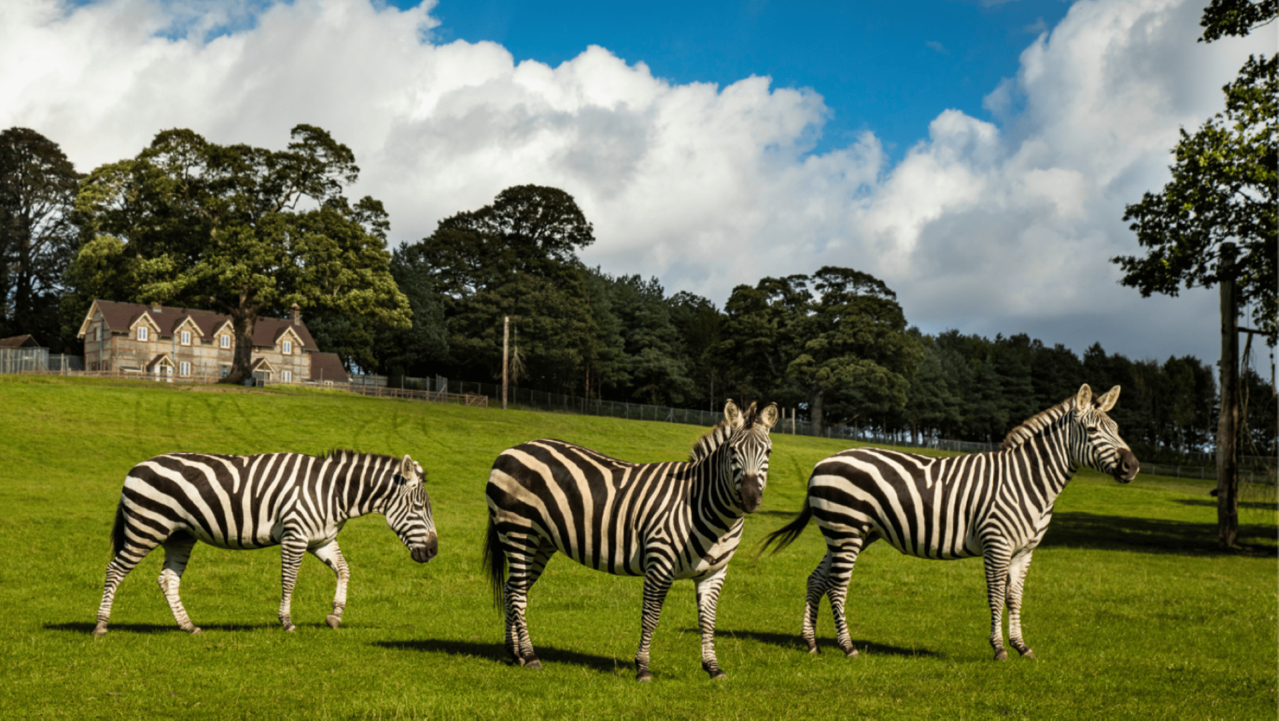 Keepers Cottage at Longleat - Image 1