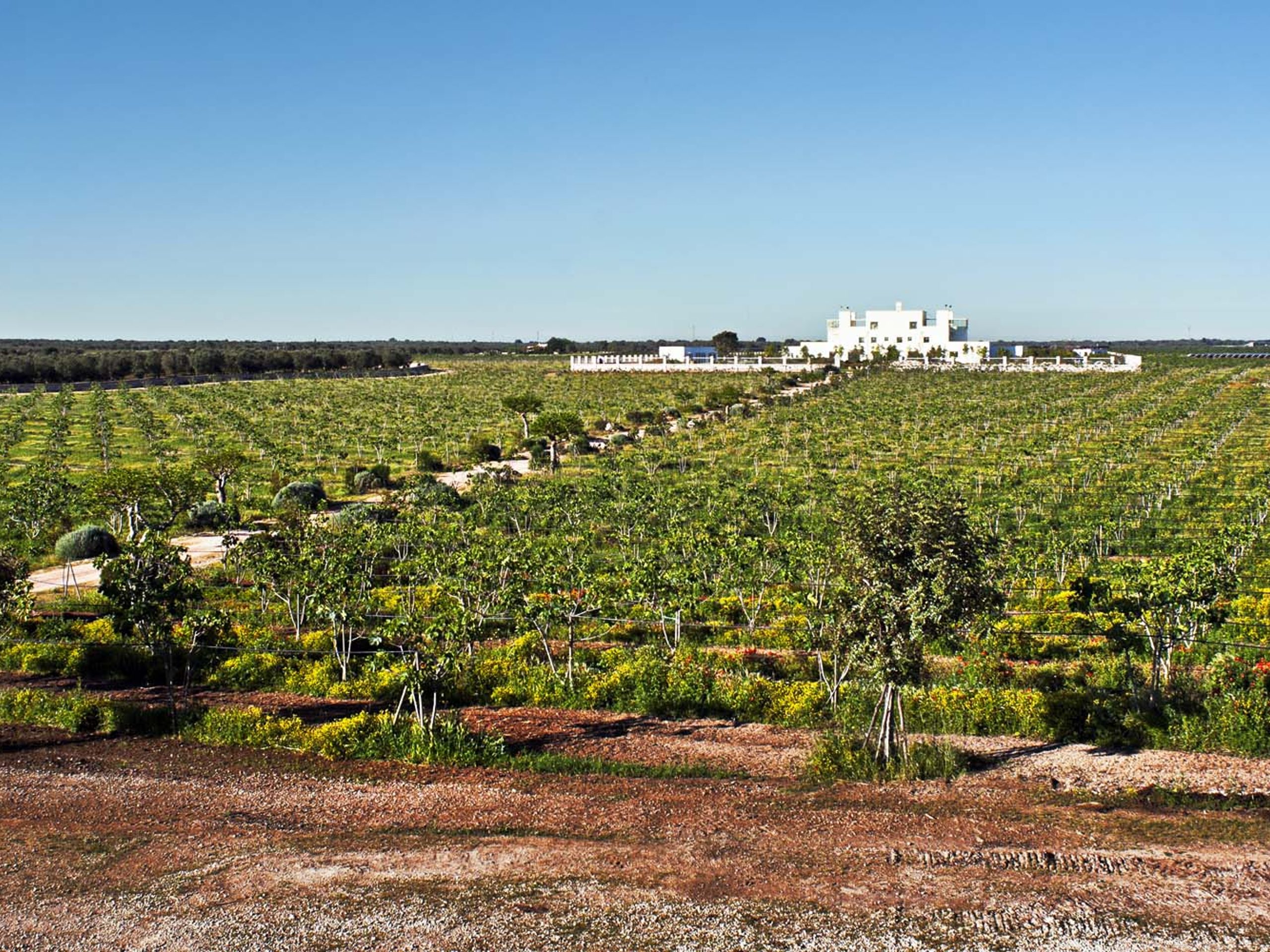 Furnirussi Tenuta