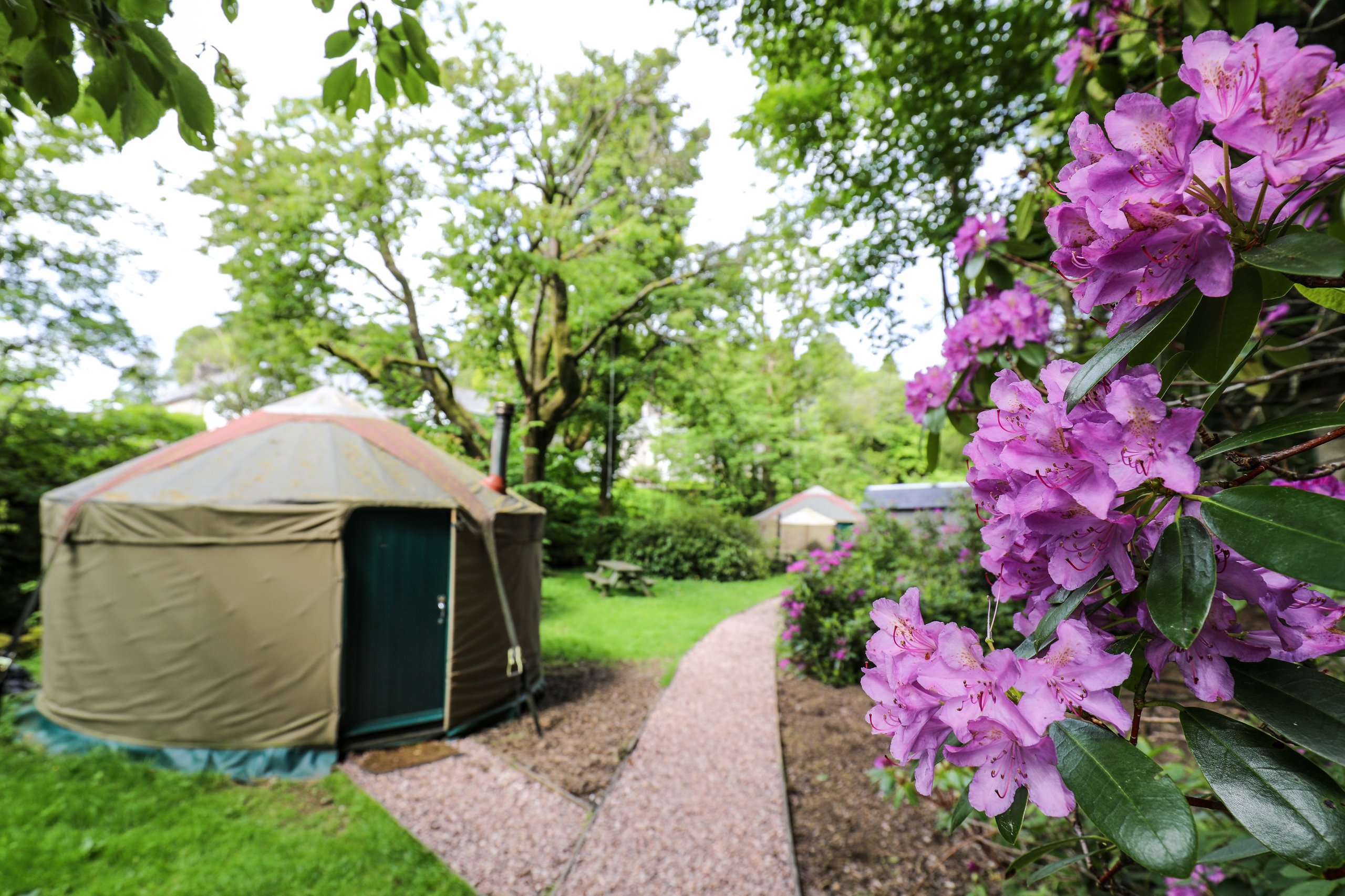 Yurts at the Black Swan