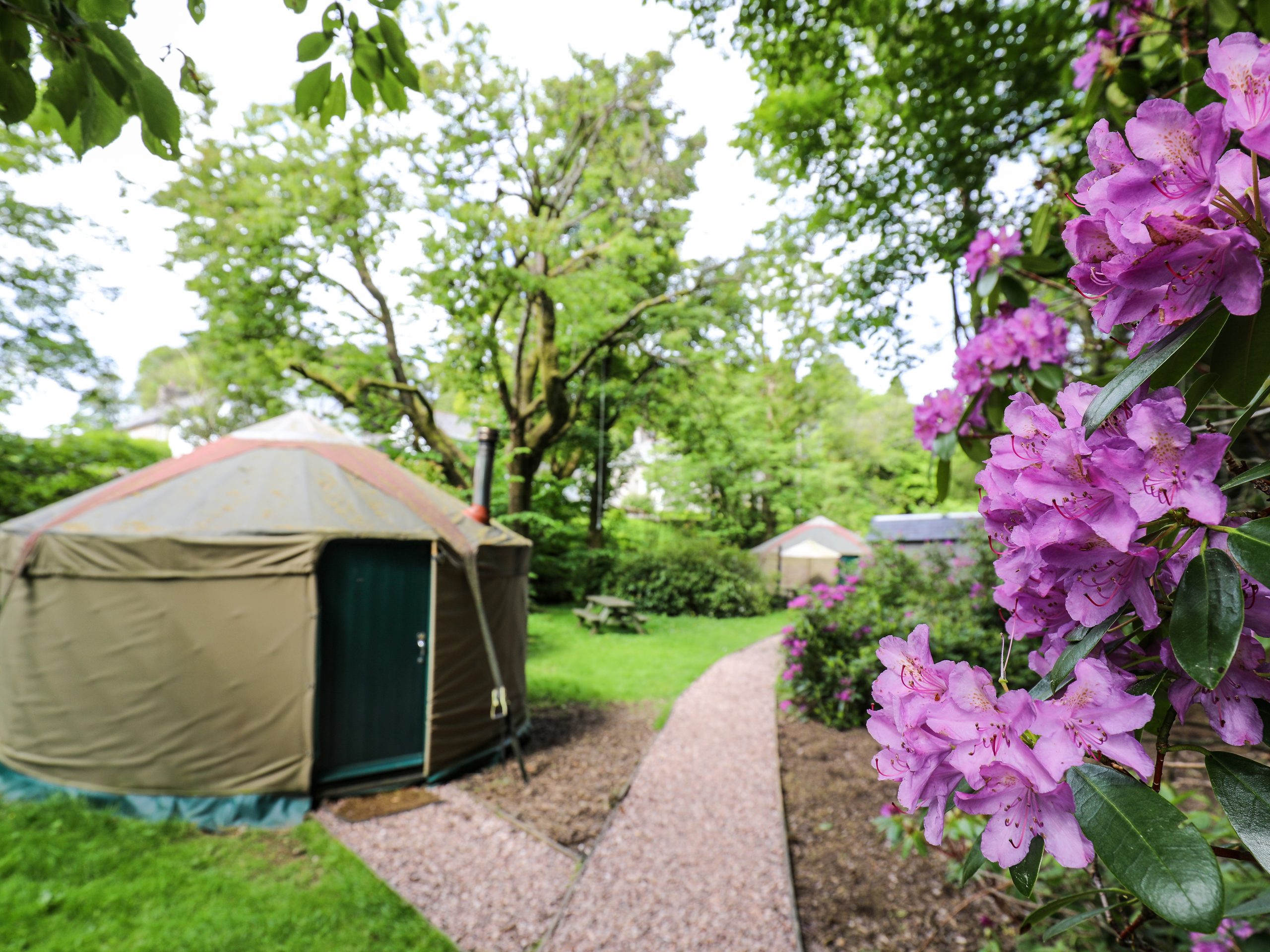 Yurts at the Black Swan