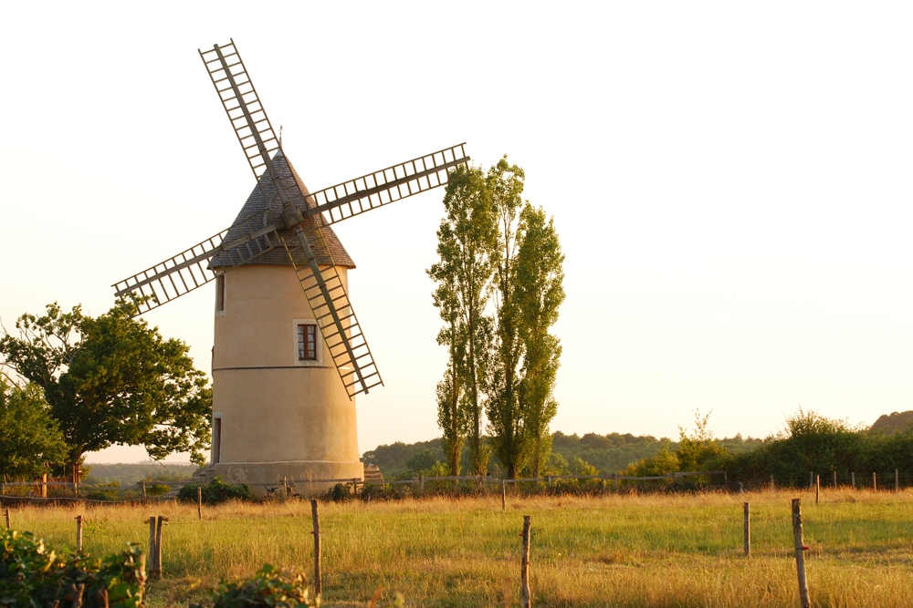 Moulin 85
