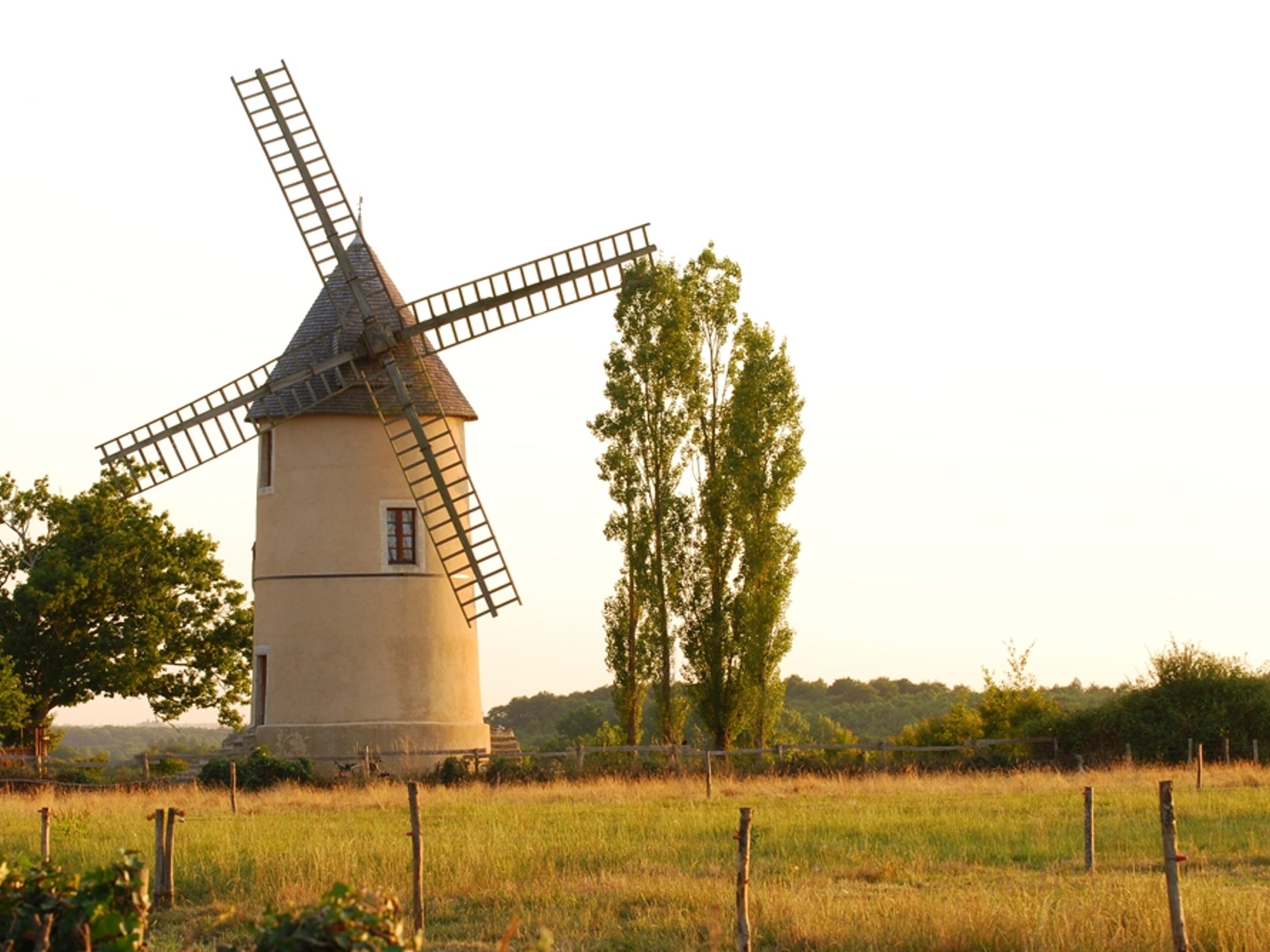 Moulin 85