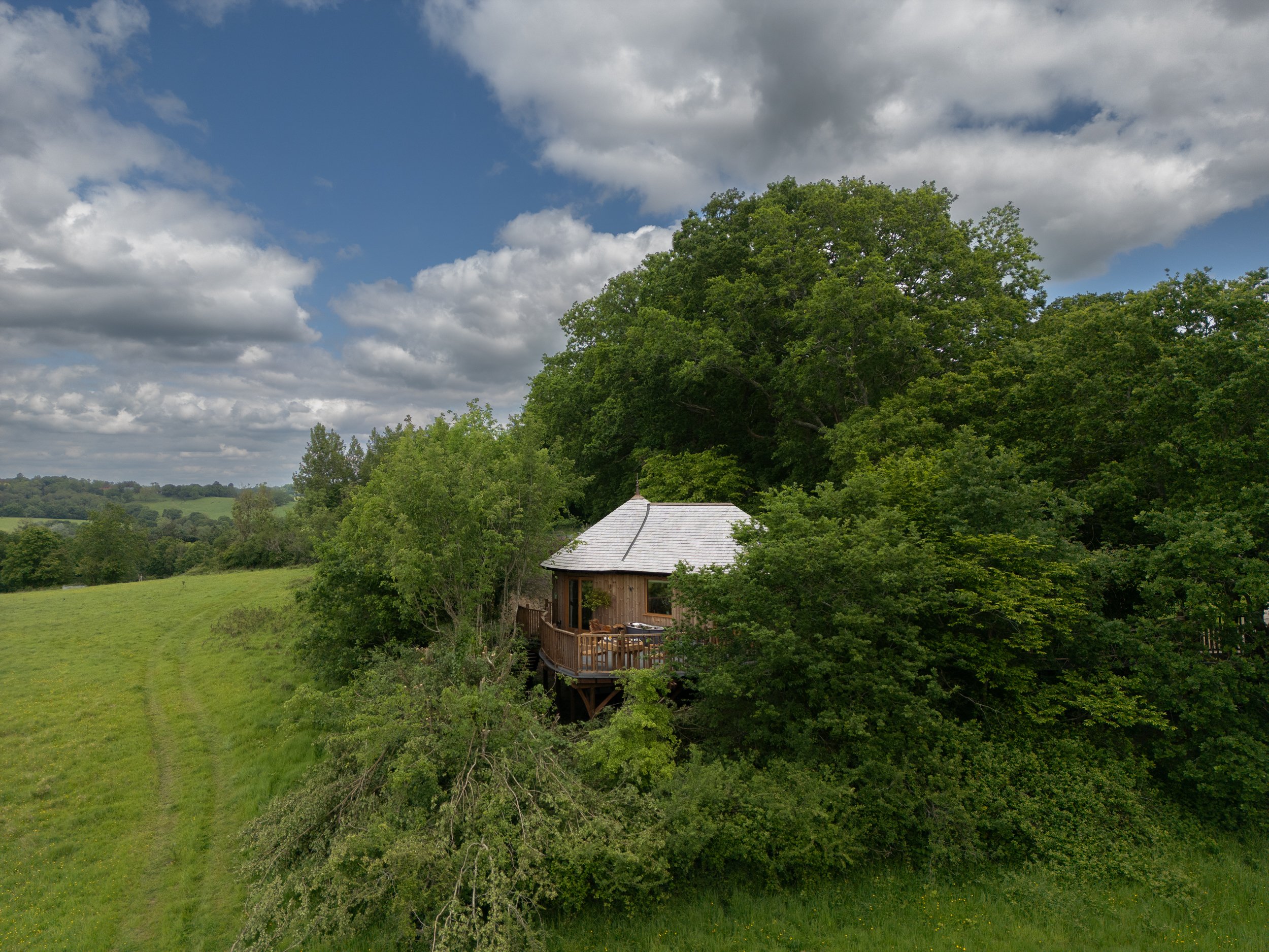 Tawny Treehouse