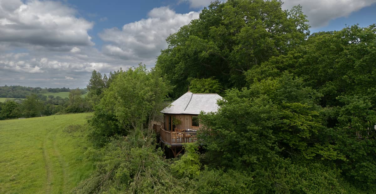 Hoots Treehouses
