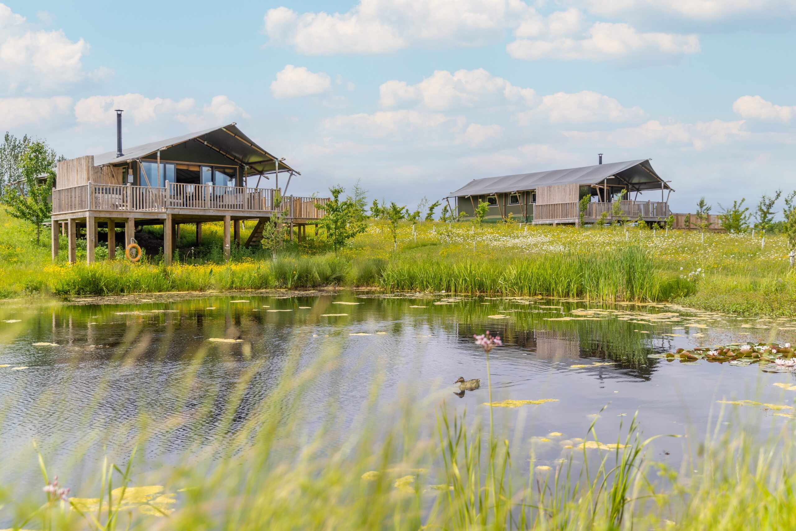 Birdholme Glamping - Image 1