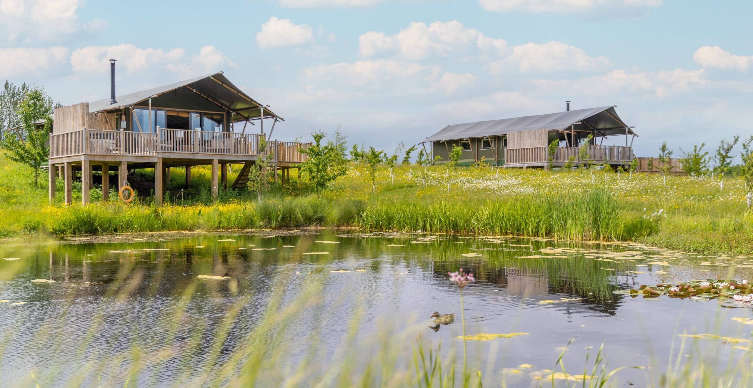 Birdholme Glamping