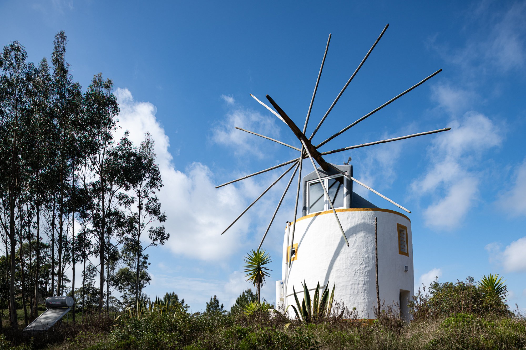 Forest Windmill - Image 1