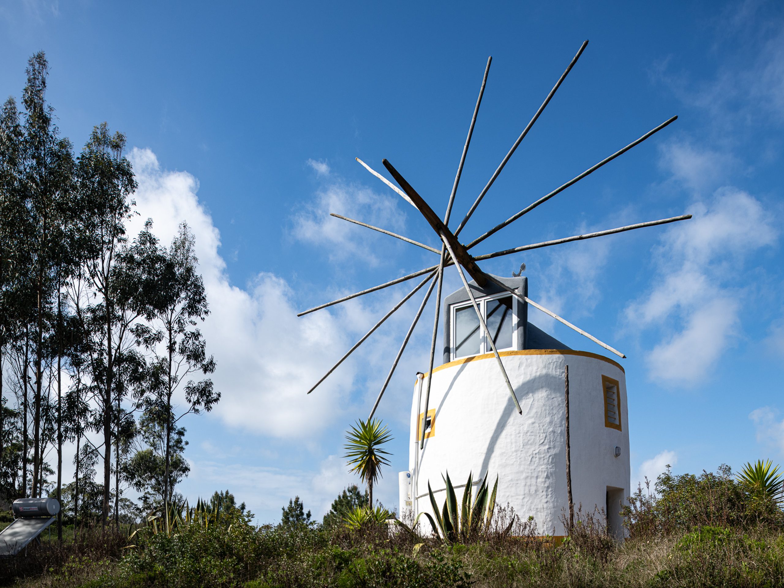Forest Windmill